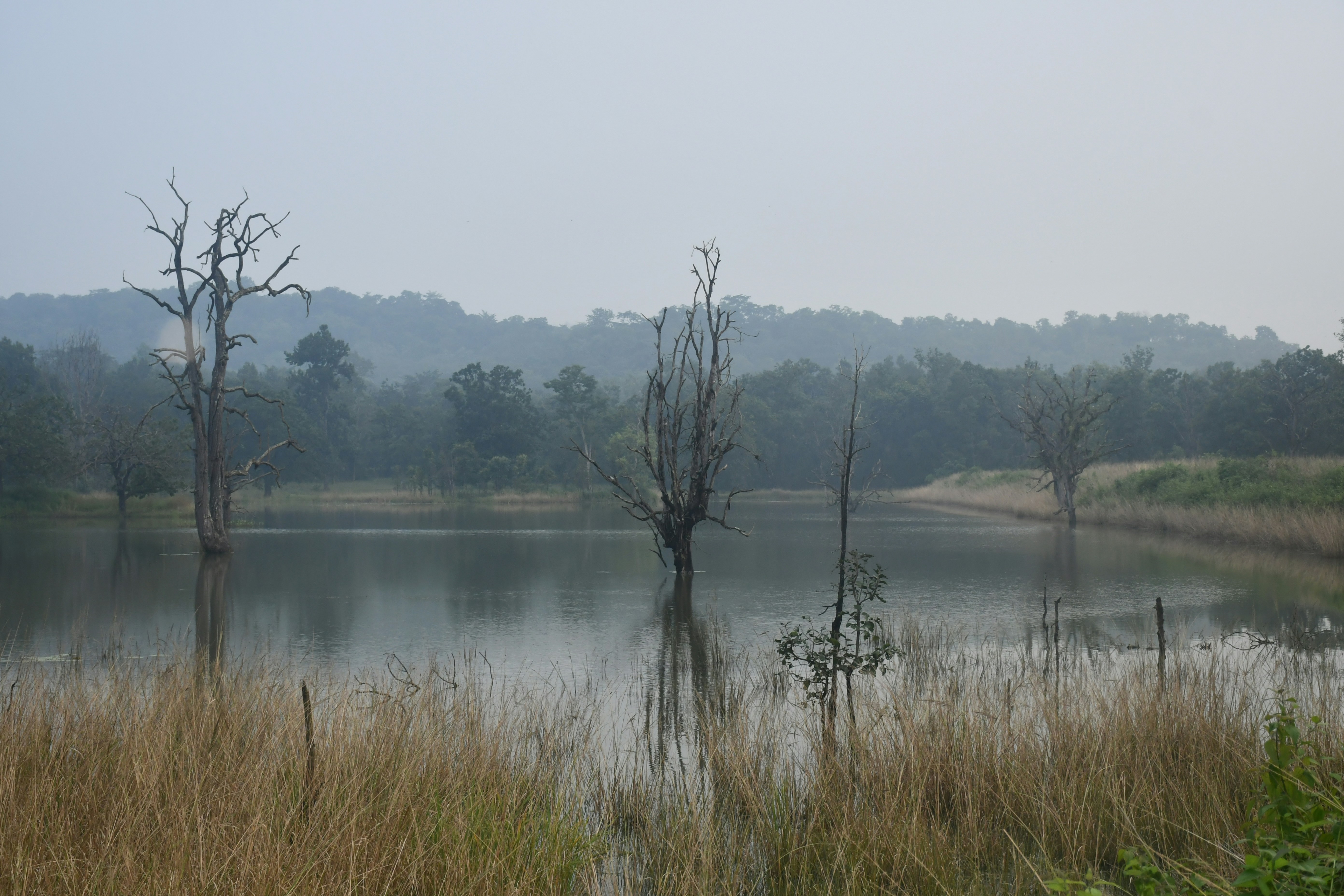 Photo by manoj_poosam