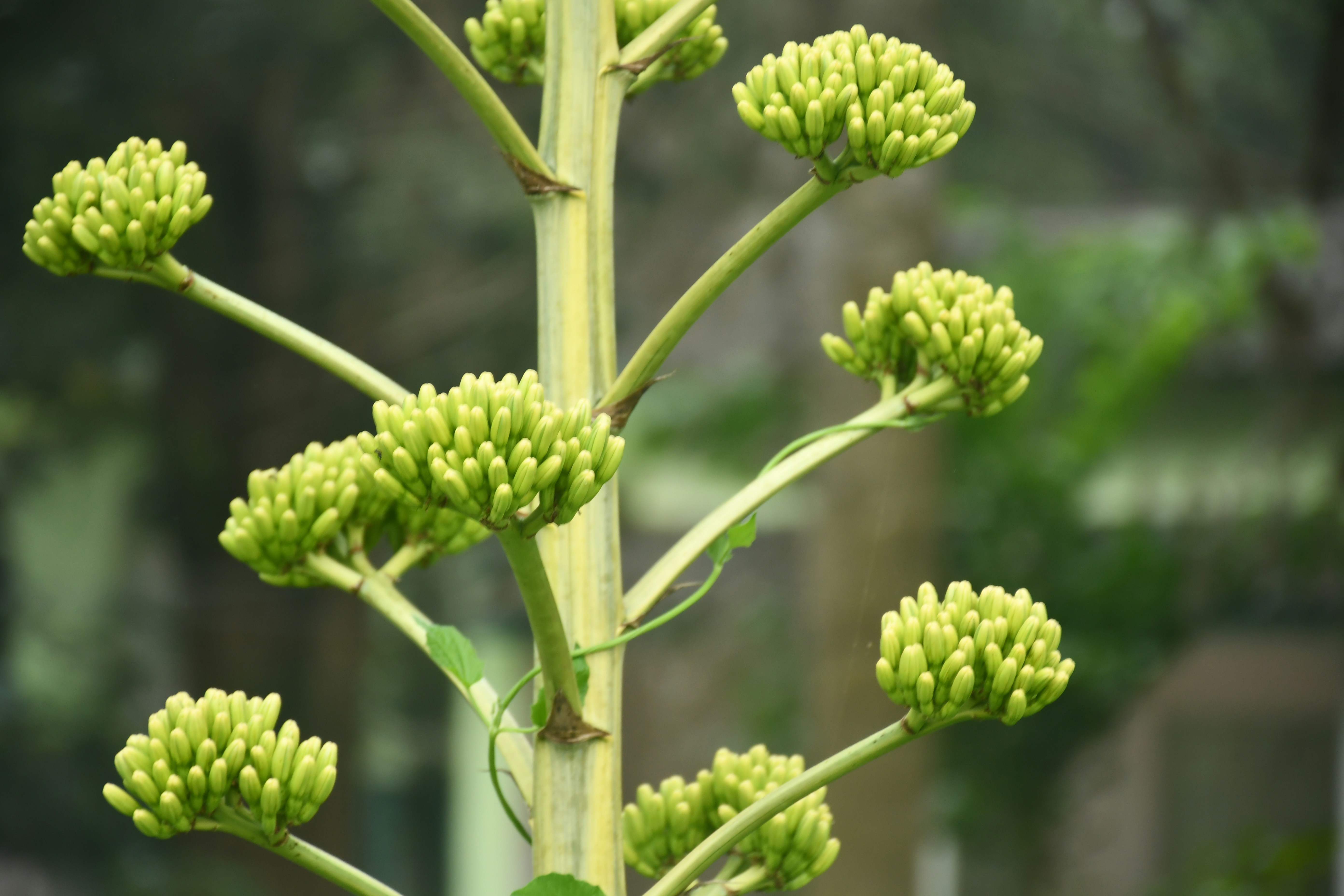 Photo by manoj_poosam