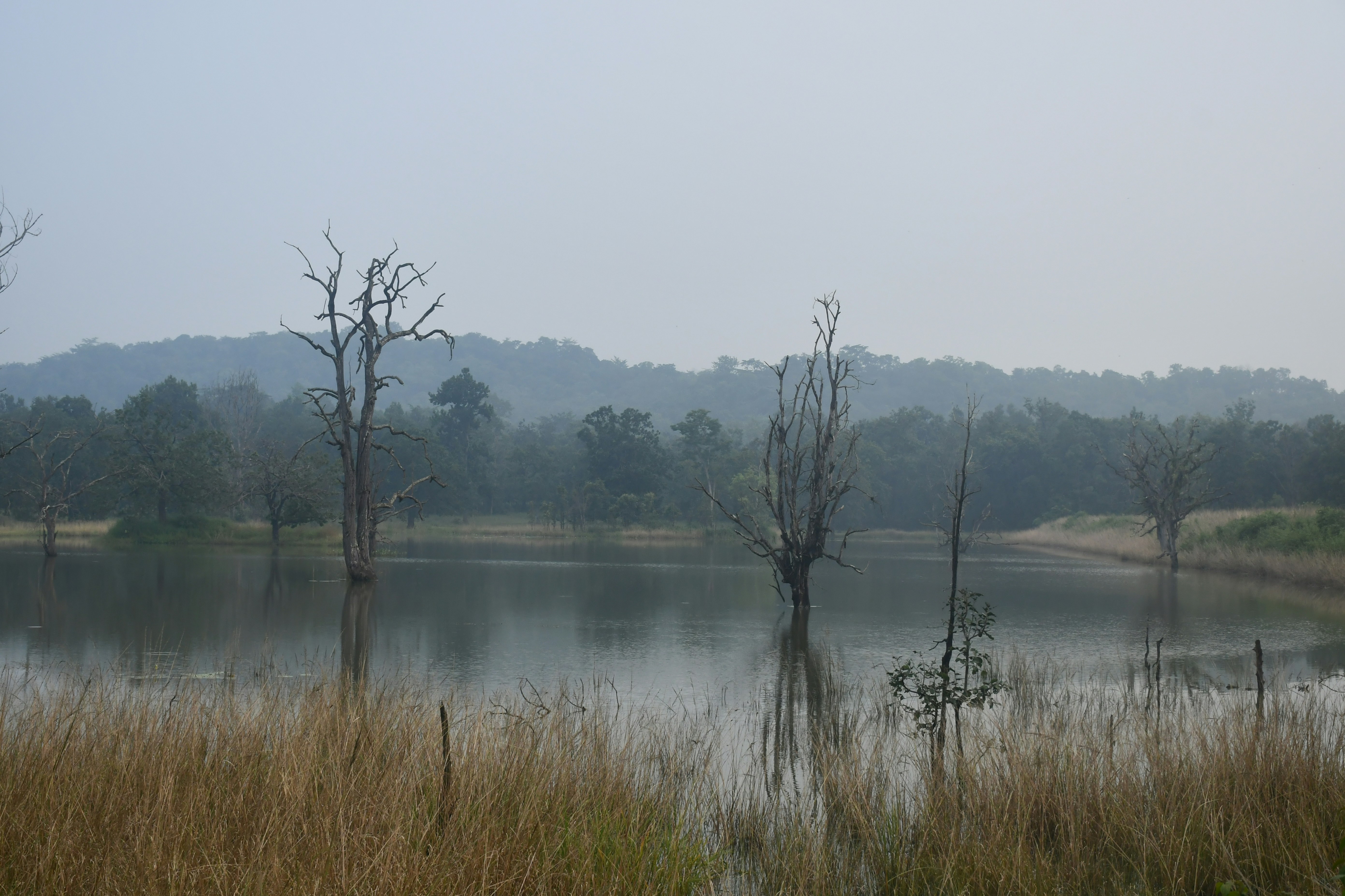 Photo by manoj_poosam