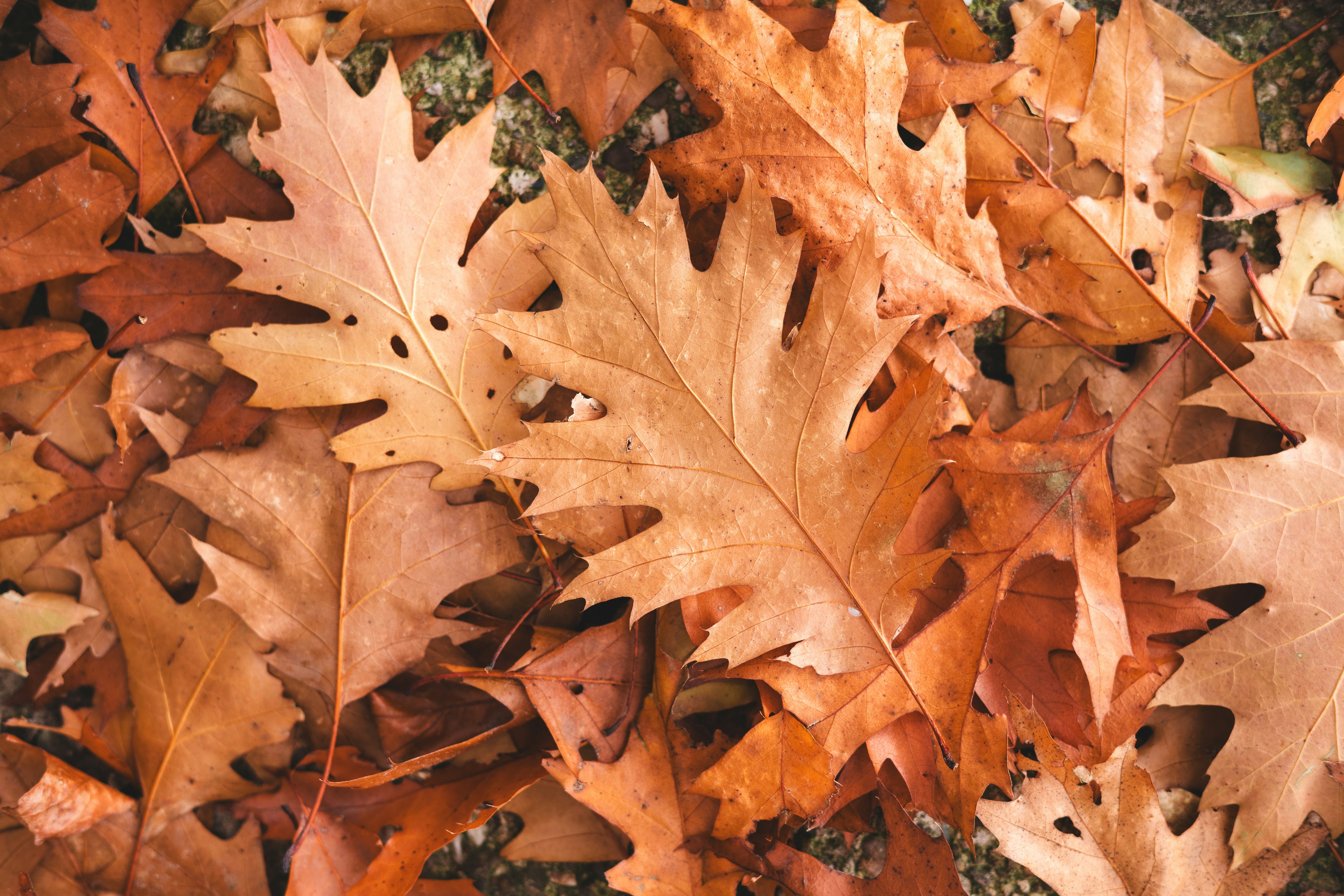 Photo by visualsbying