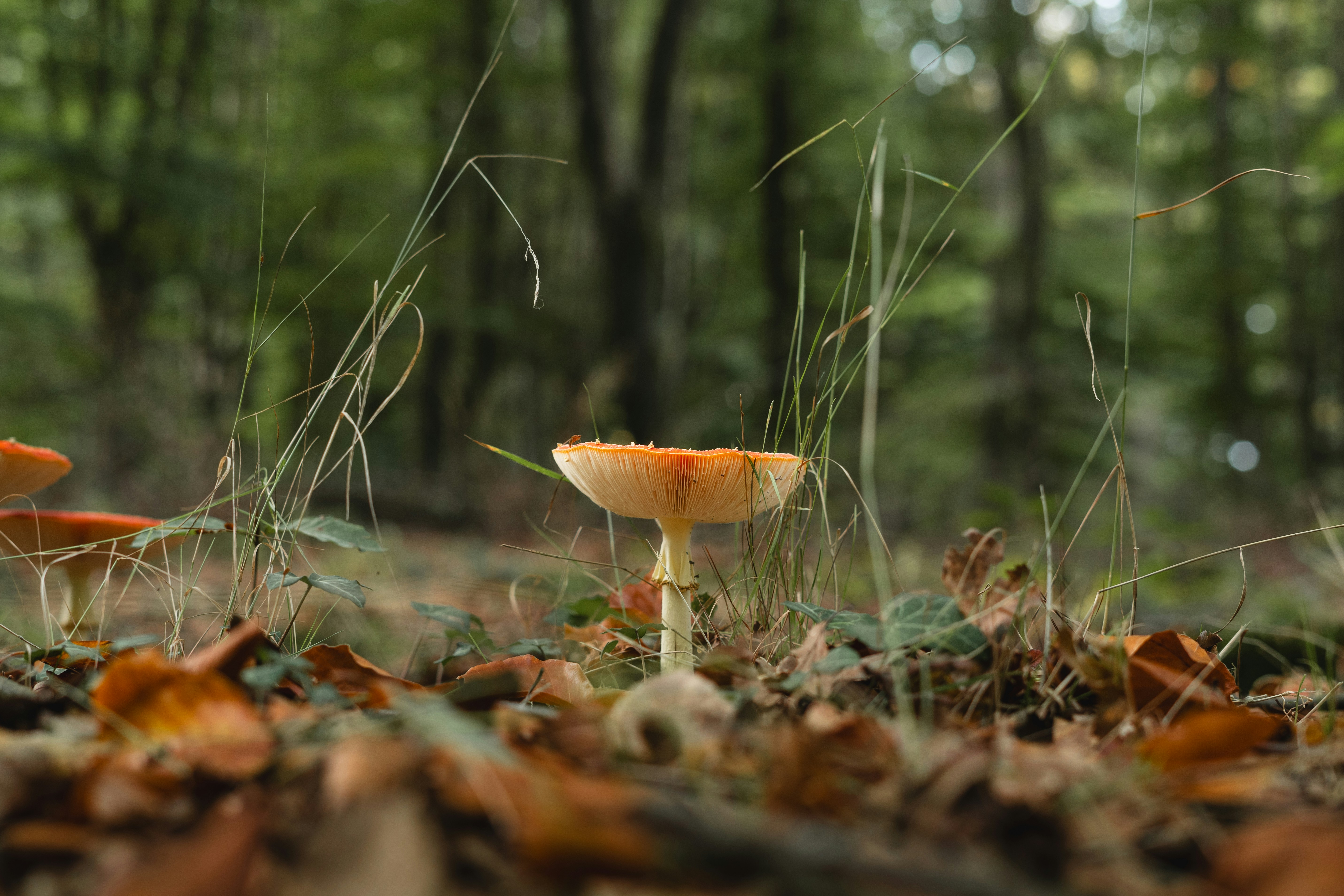 Photo by visualsbying
