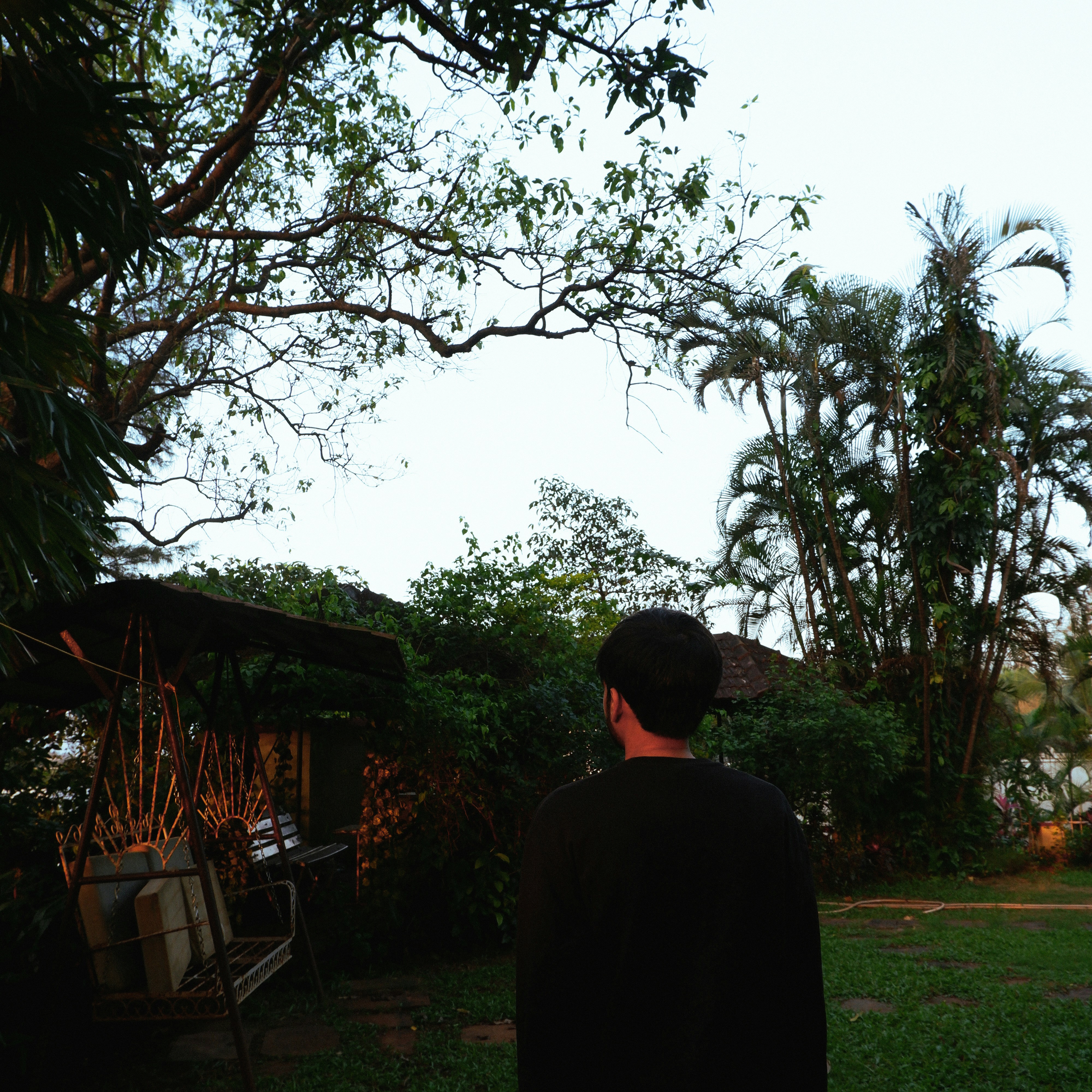 Man in black shirt looking at trees