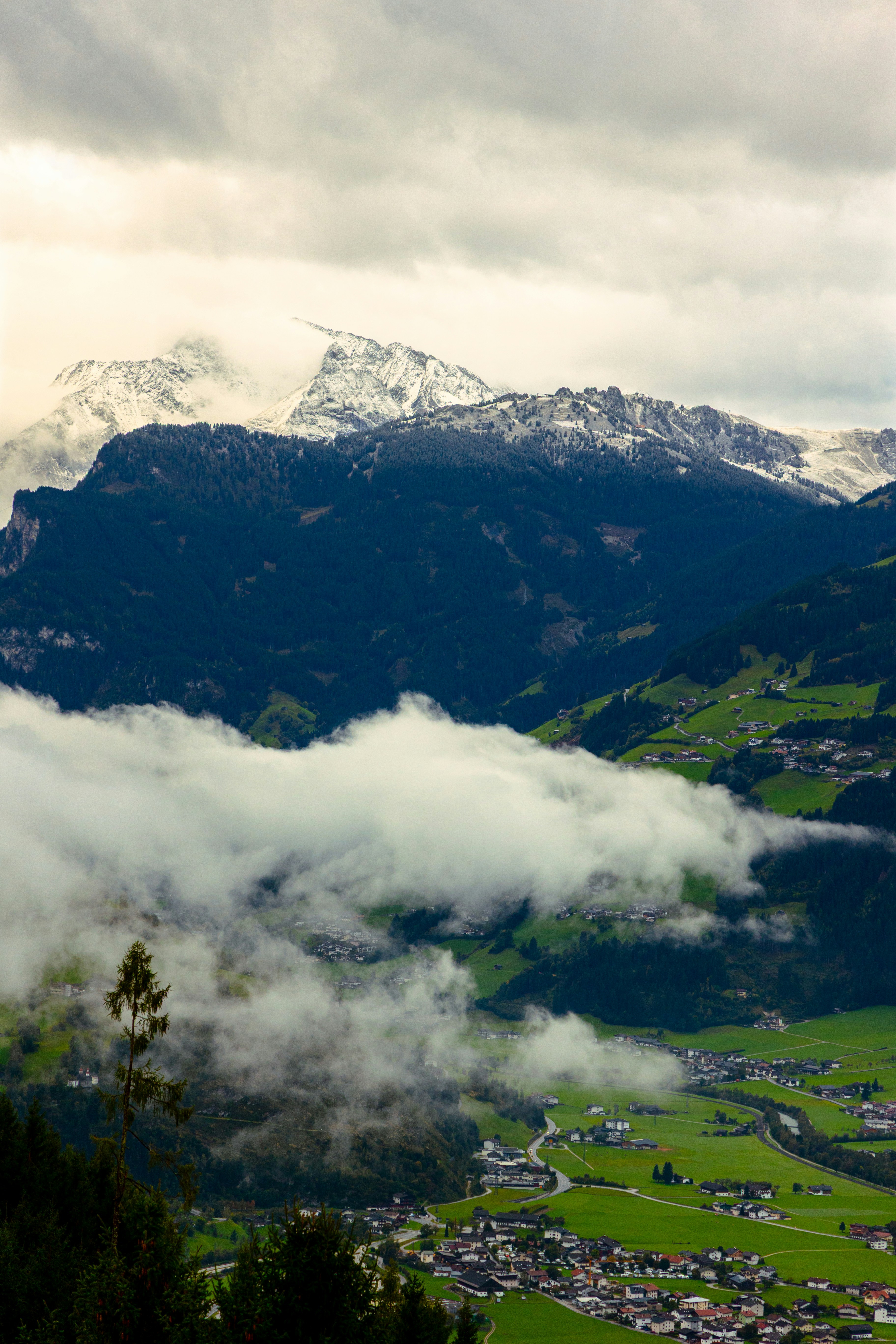 Photo by gnomezgrave