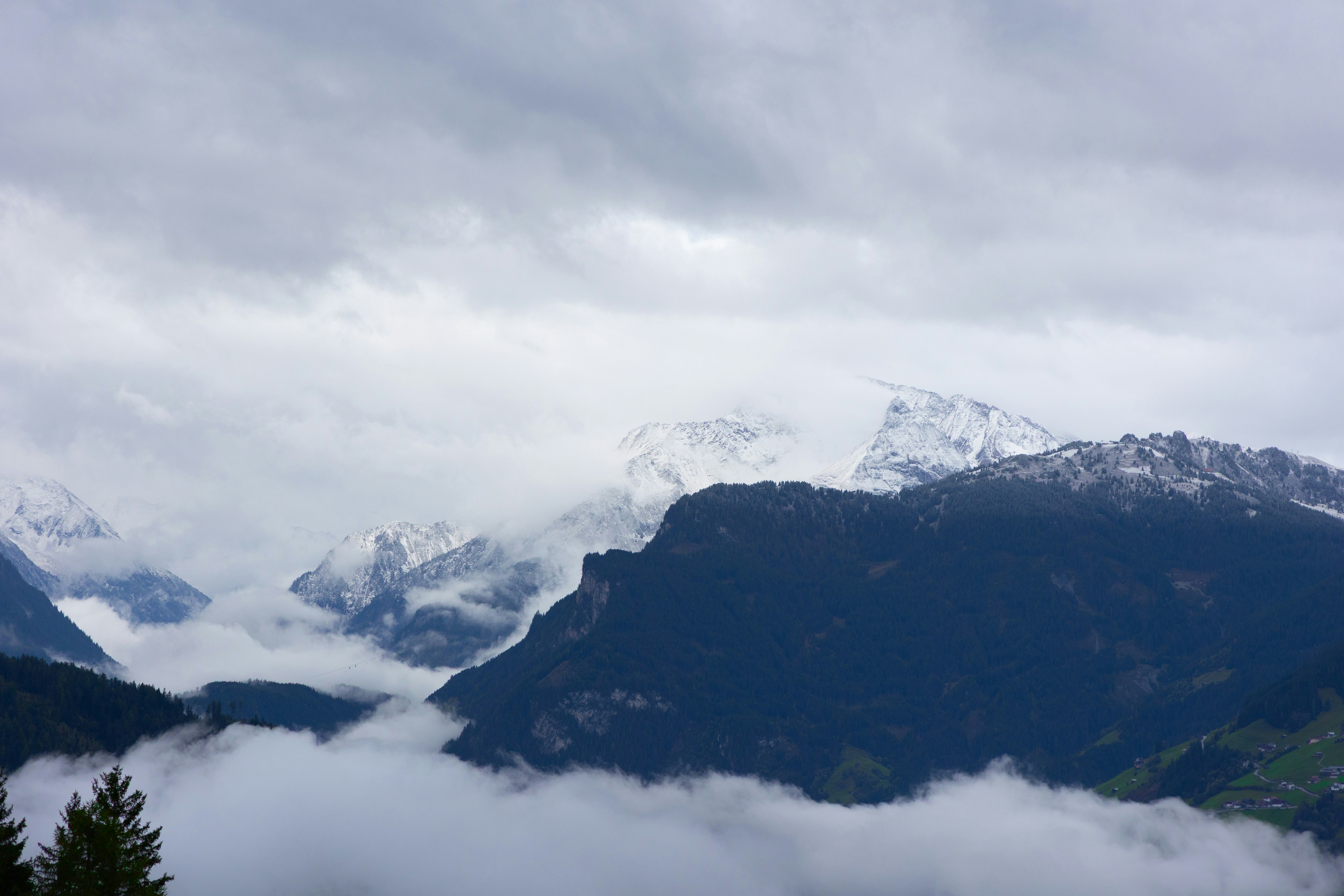 Photo by gnomezgrave