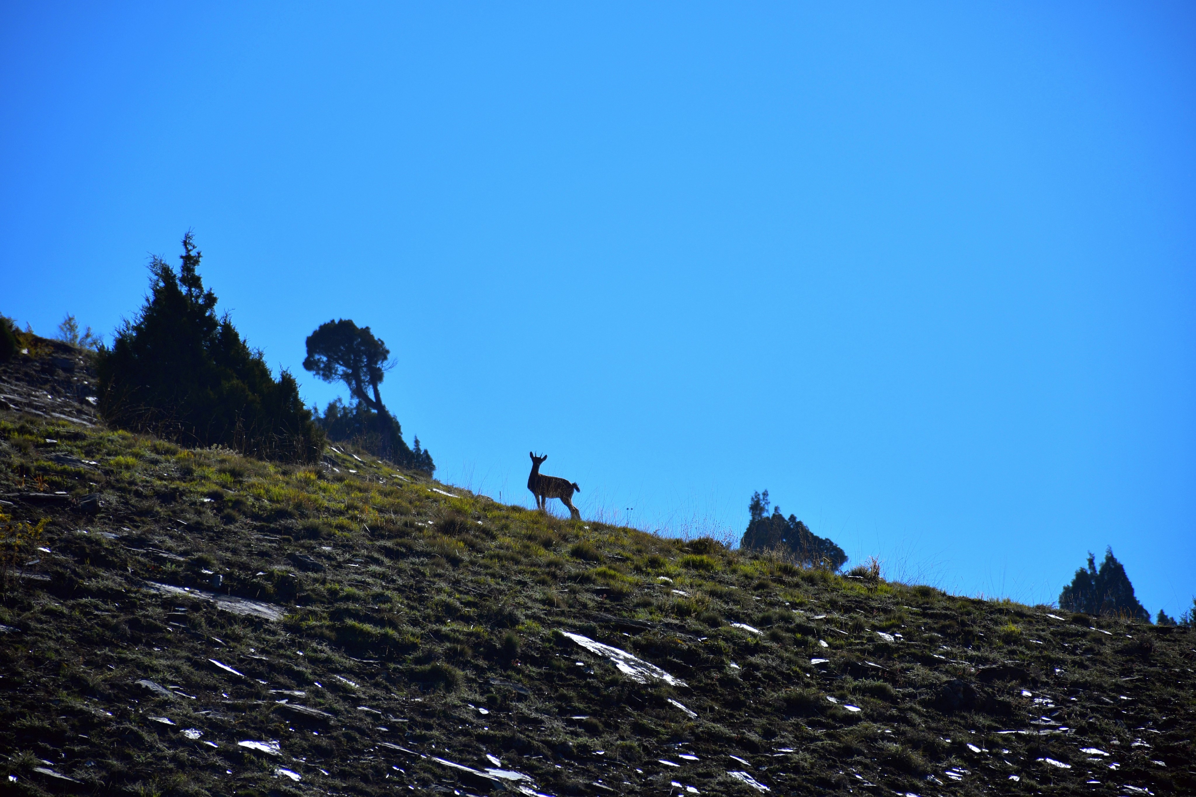 Photo by natureandmylens