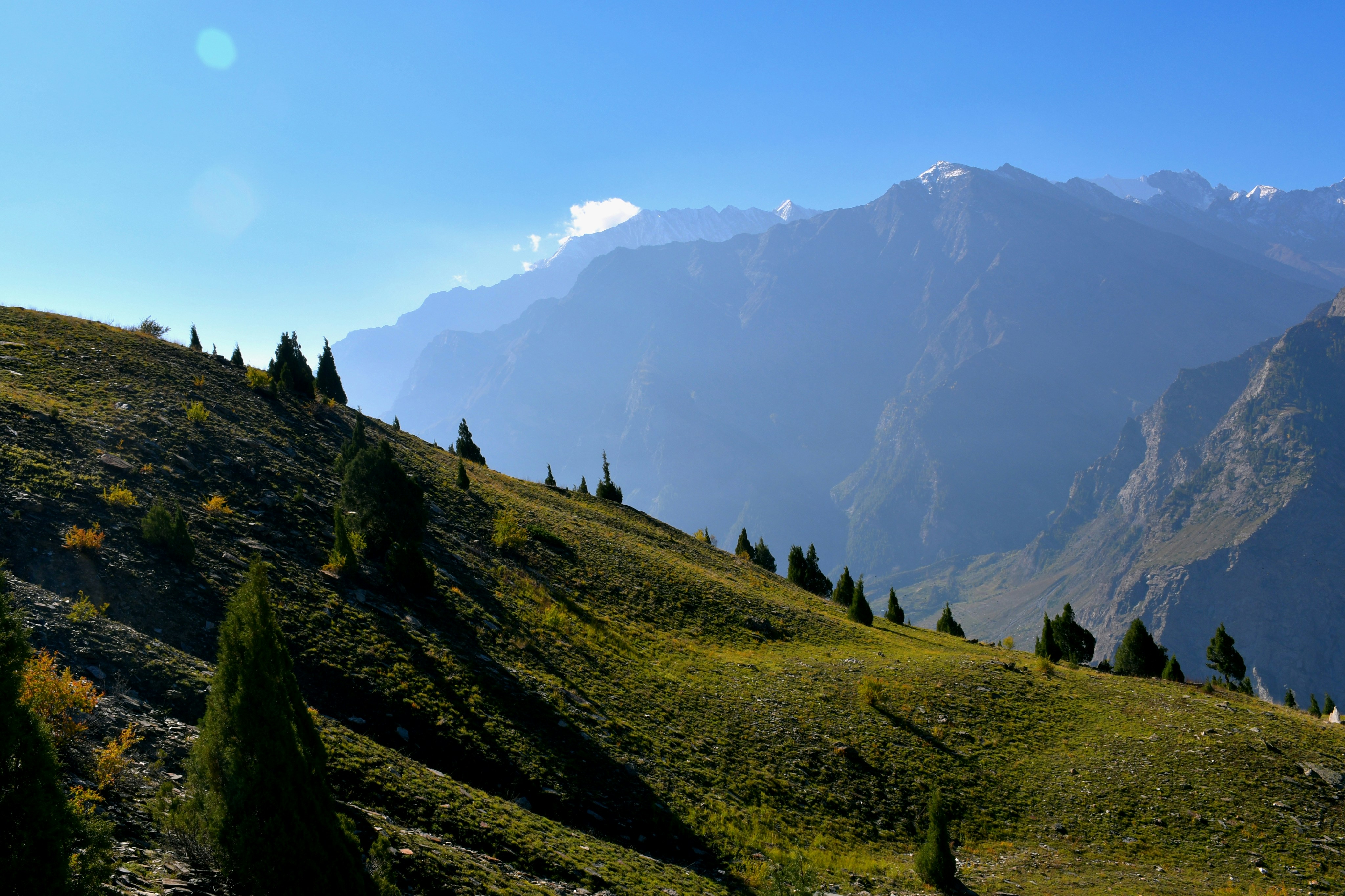 Photo by natureandmylens