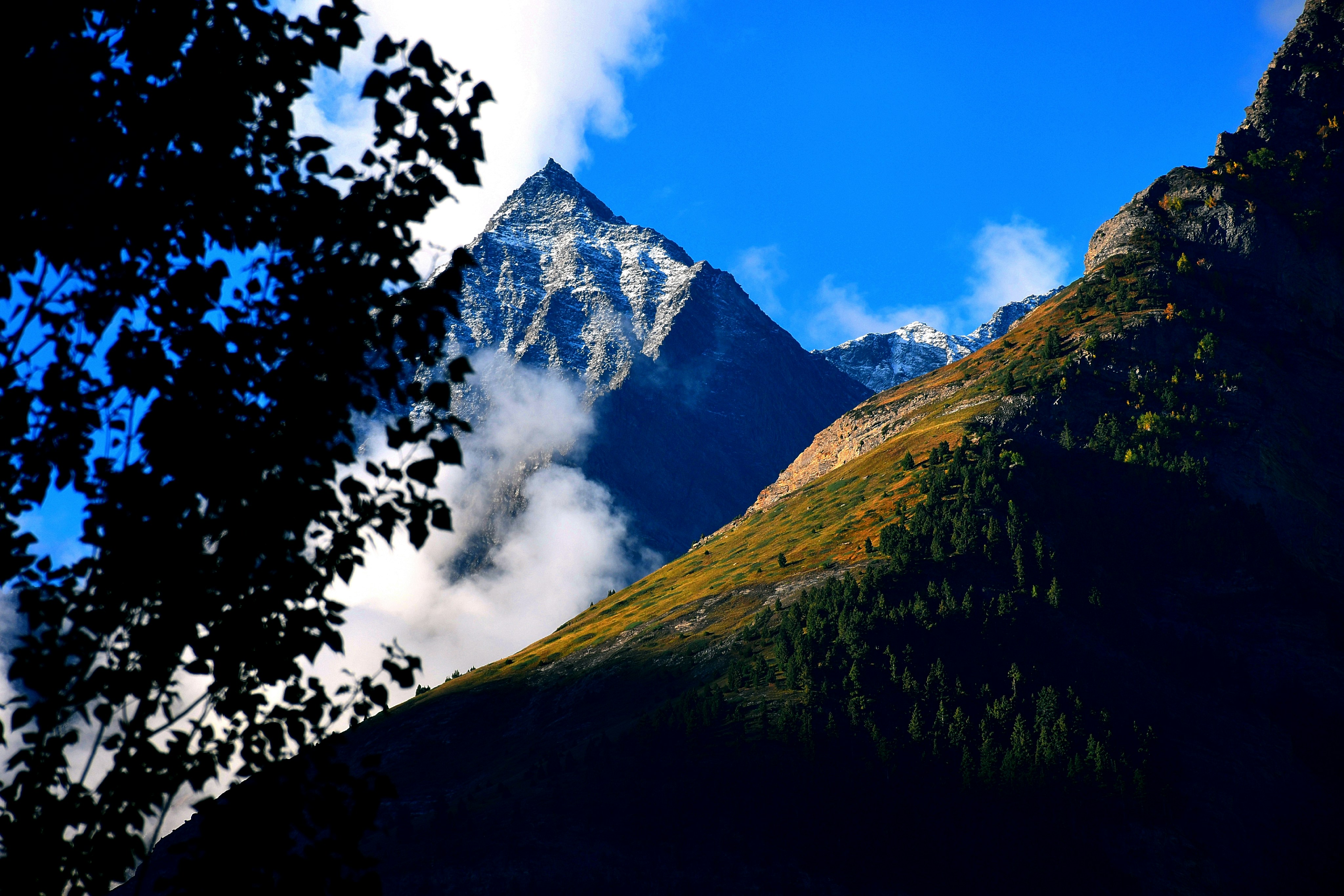 Luxury mountain tent night, premium camping gear forest, scenic hiking backpack vista, titanium camping stove flame., ilustrasi artikel Elevate Your Outdoor Experience: High-End Camping Gear Worth the Investment 2