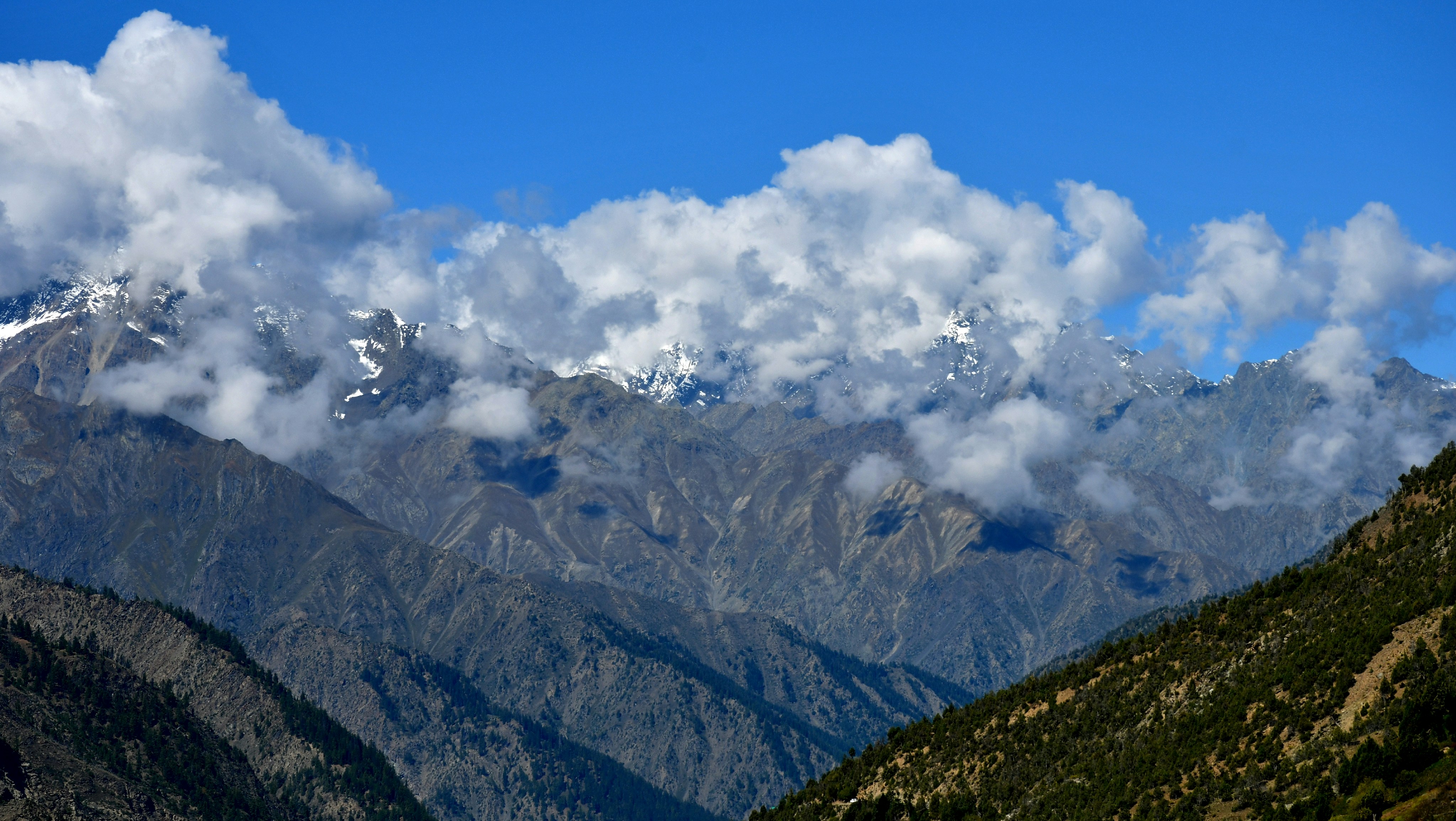 Photo by natureandmylens