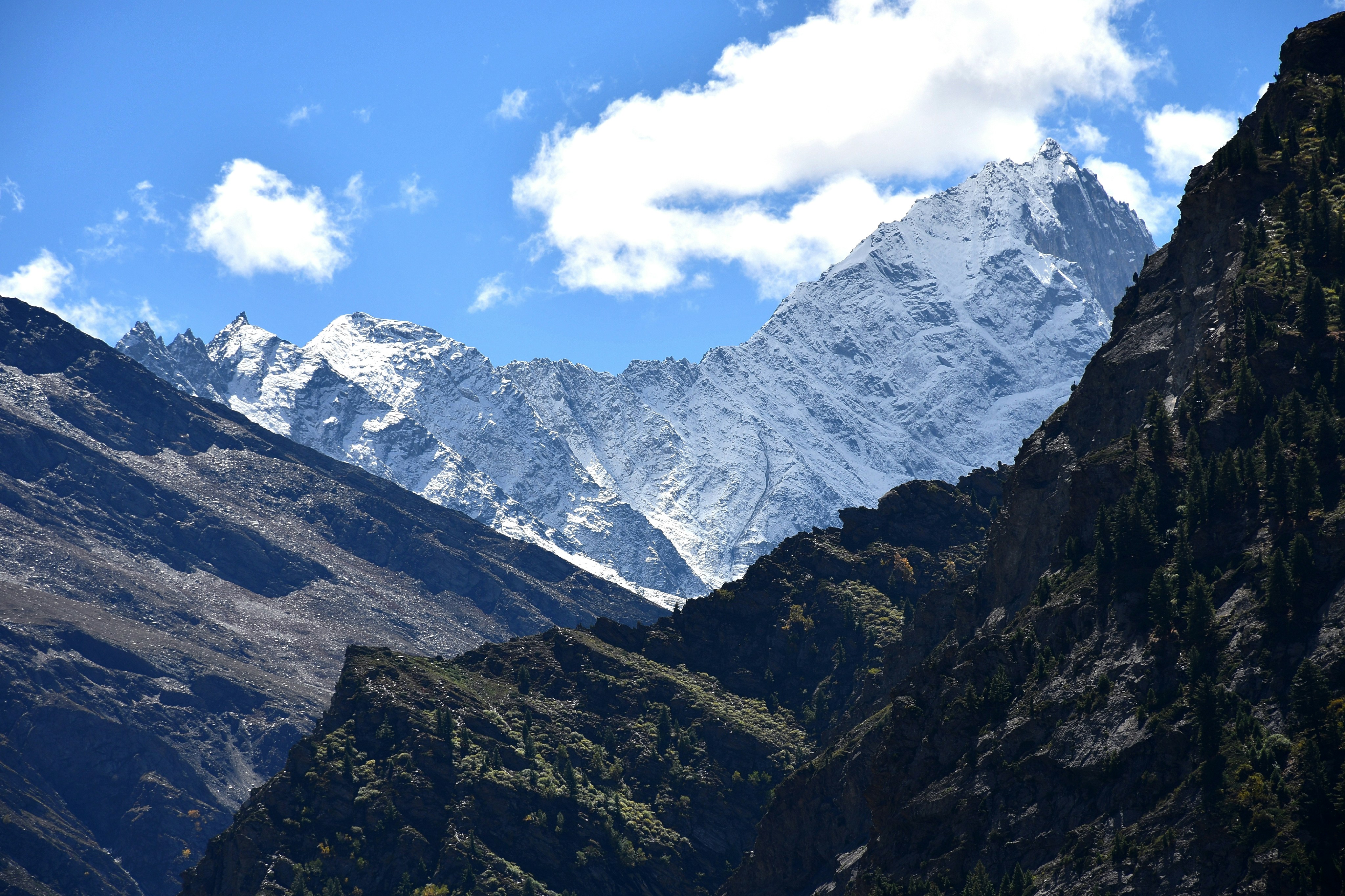 Photo by natureandmylens