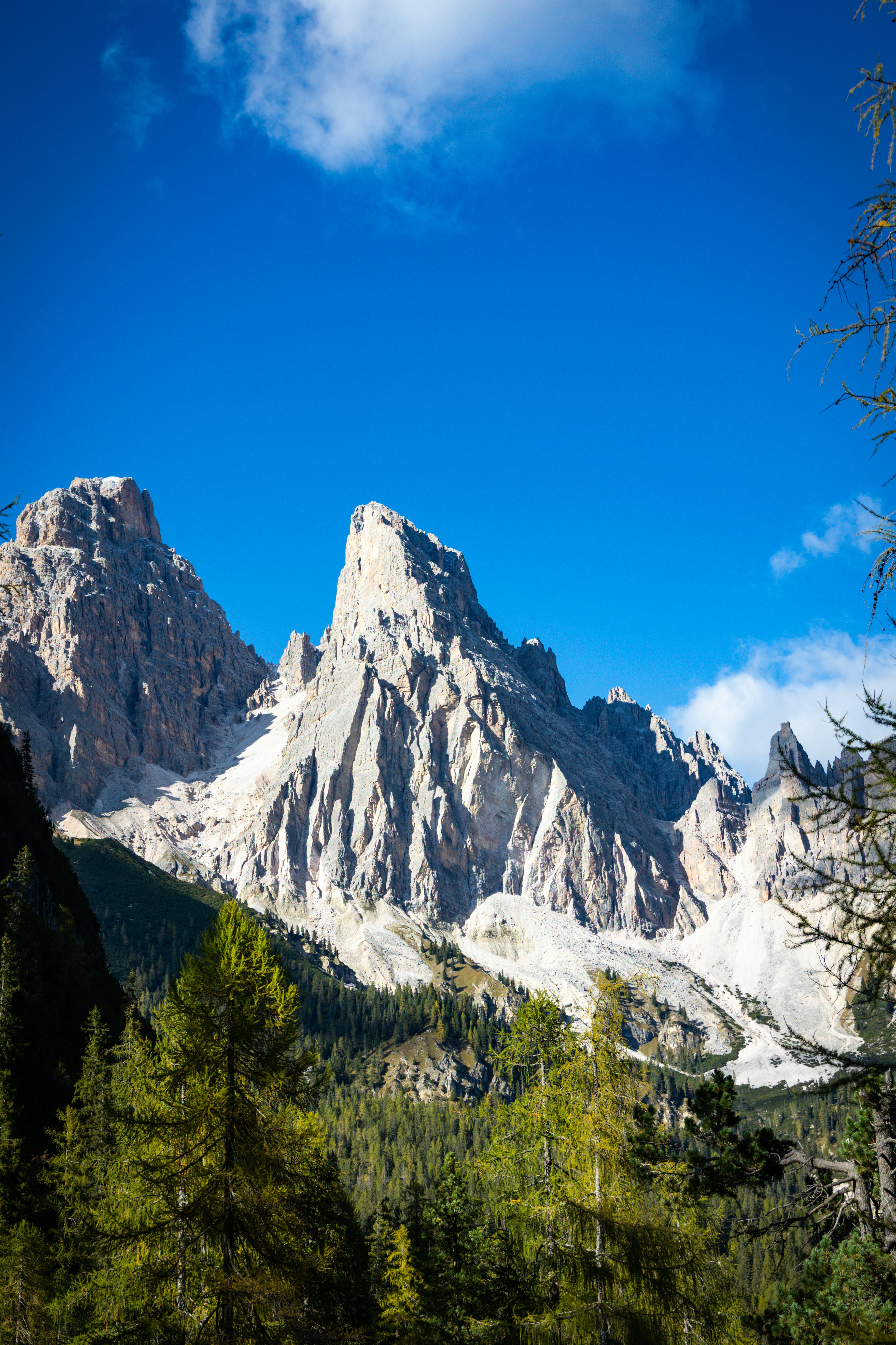 Photo by gnomezgrave