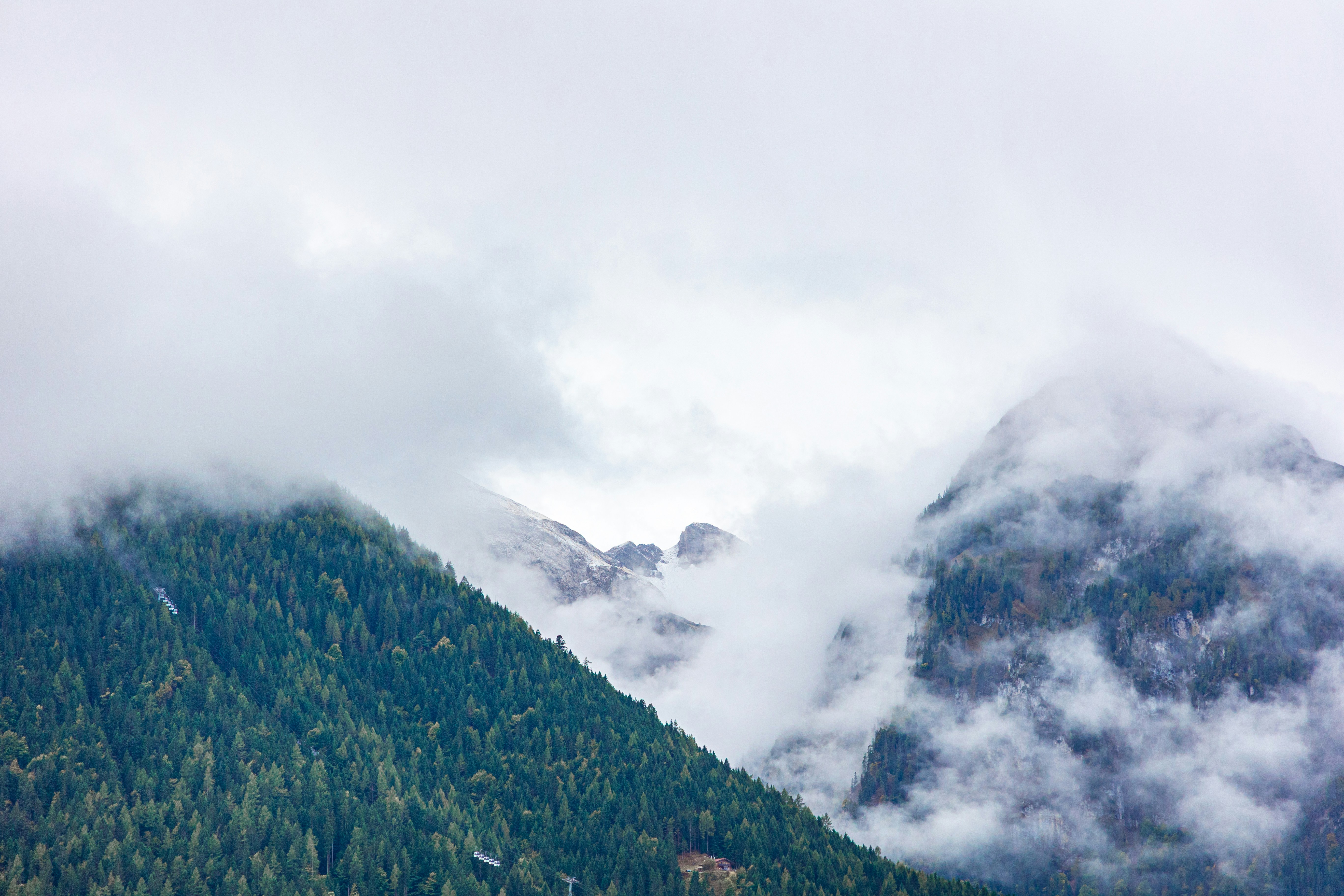 Photo by gnomezgrave