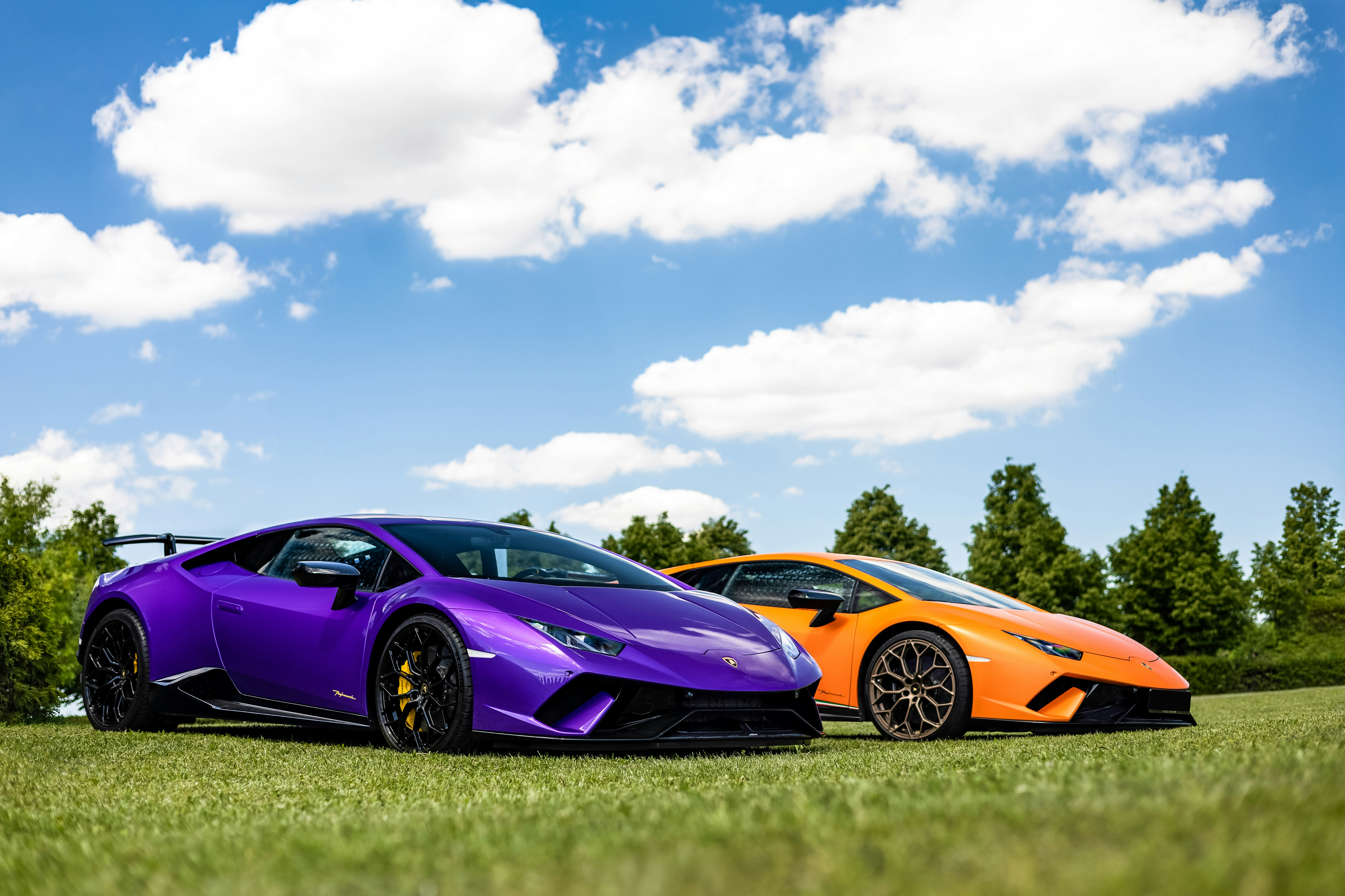 Two luxury sports cars parked on grass