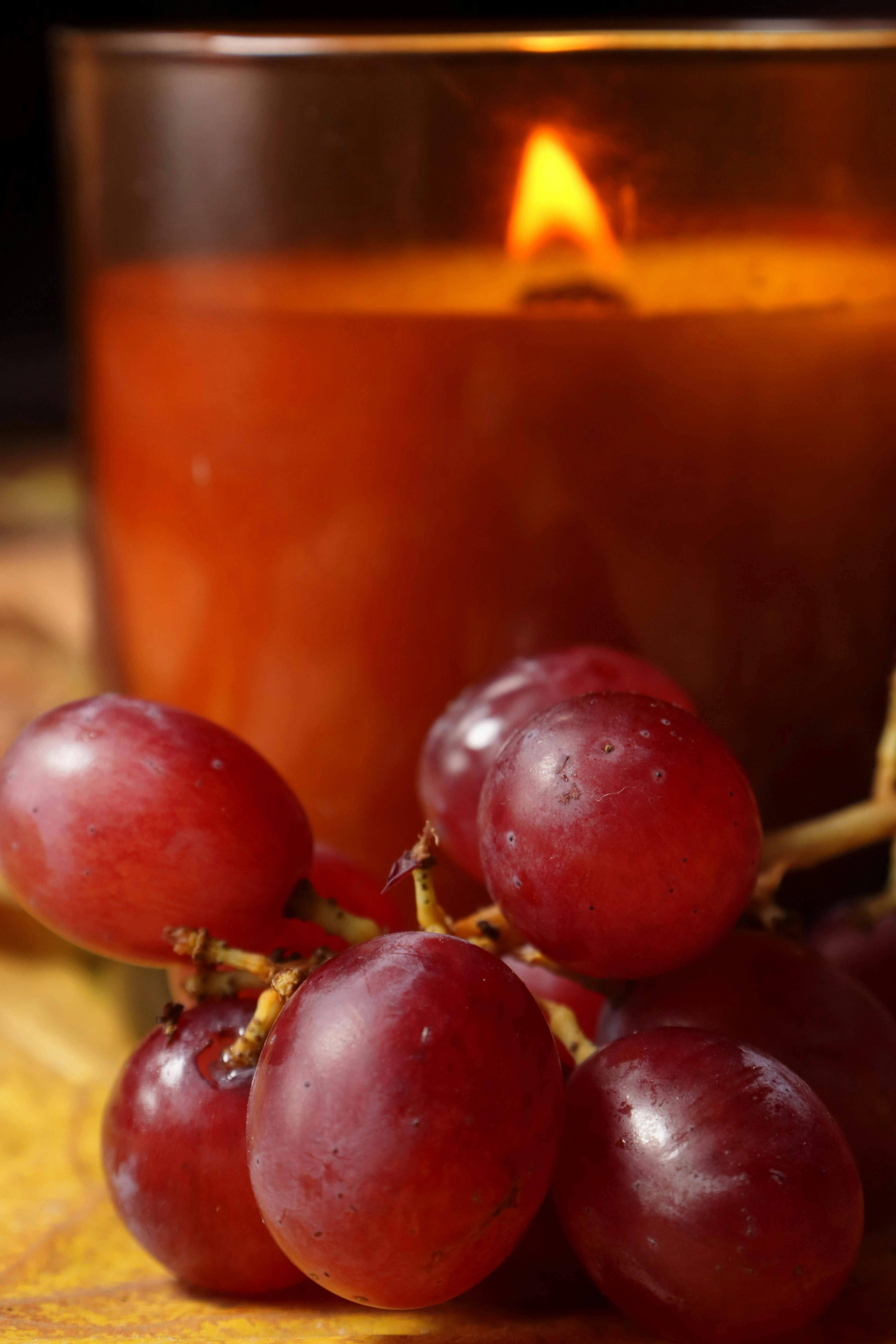 Photo by bored_mongoose