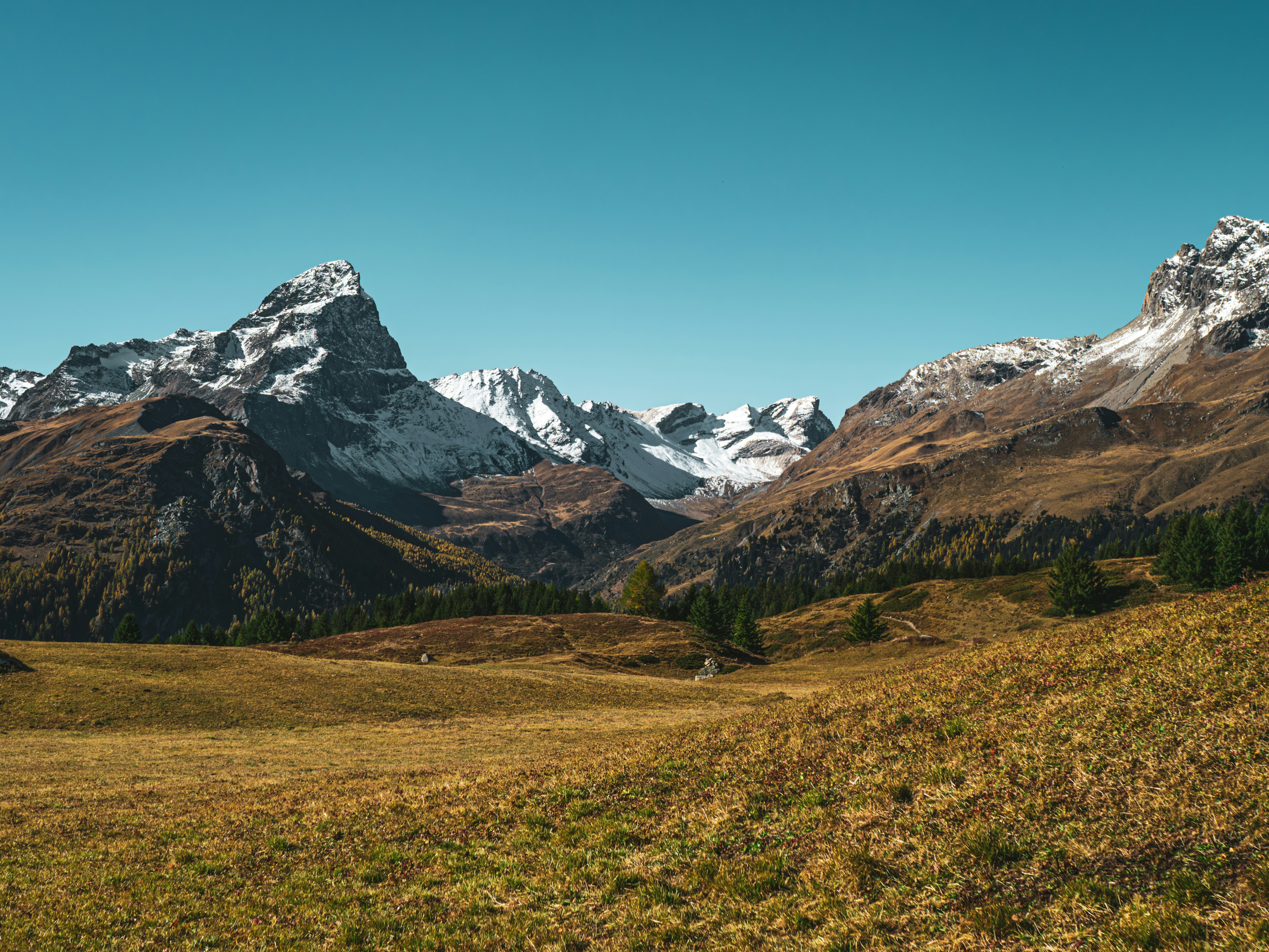 Photo by poli_graphy