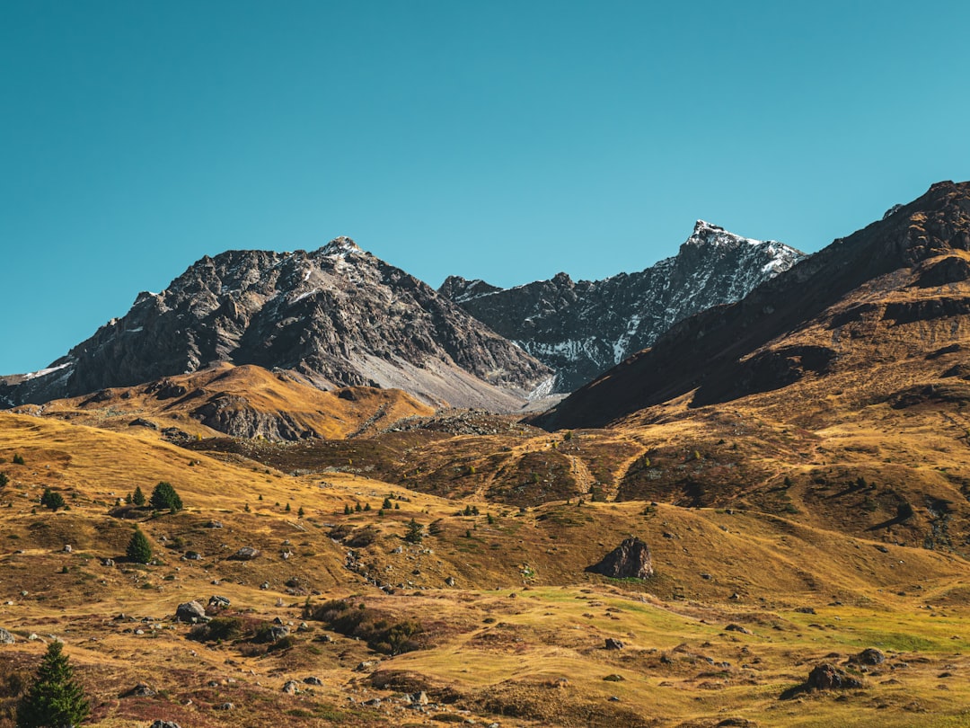 Autumn mountain valley with golden foliage and snow-capped peaks