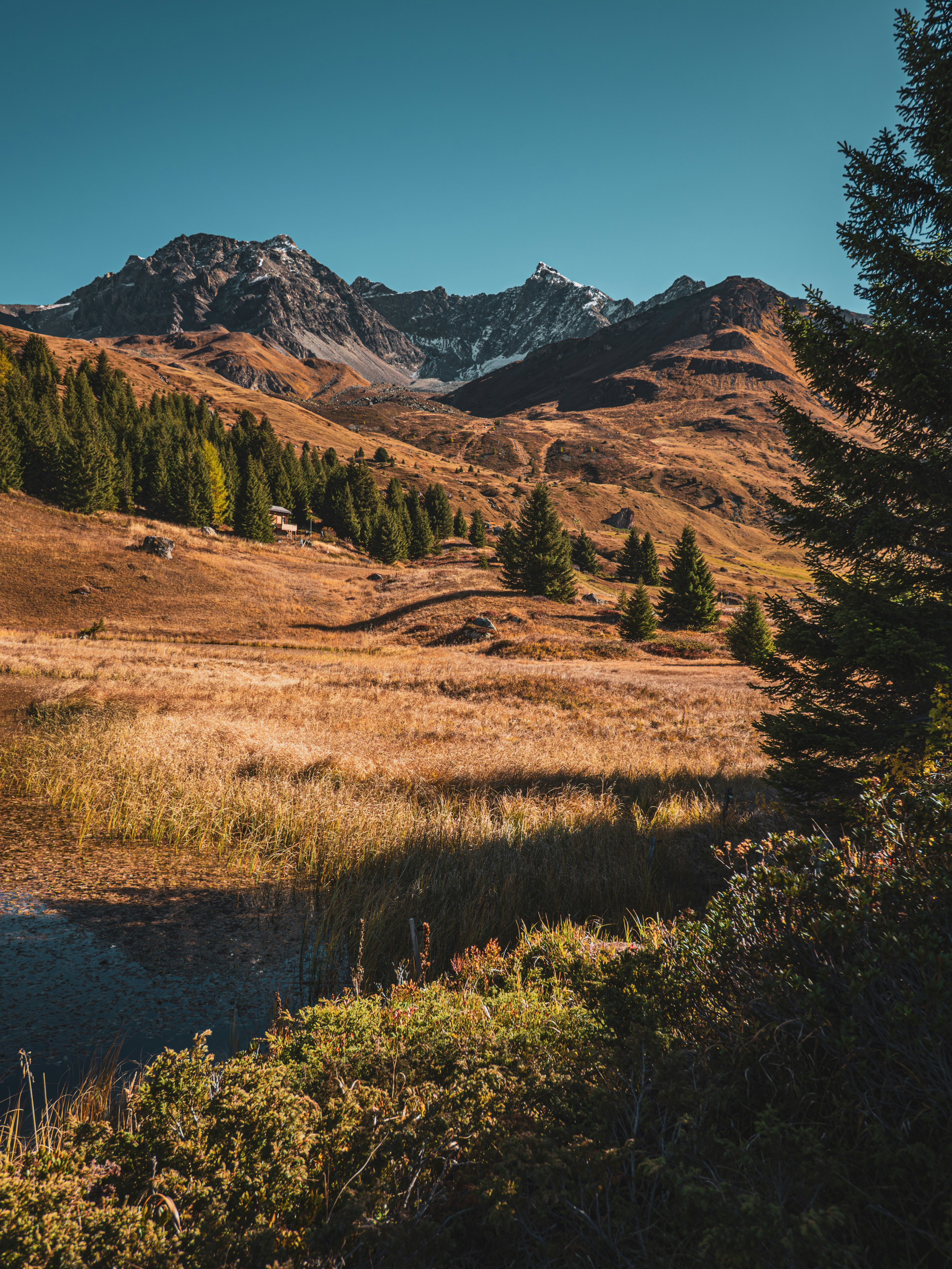 Photo by poli_graphy