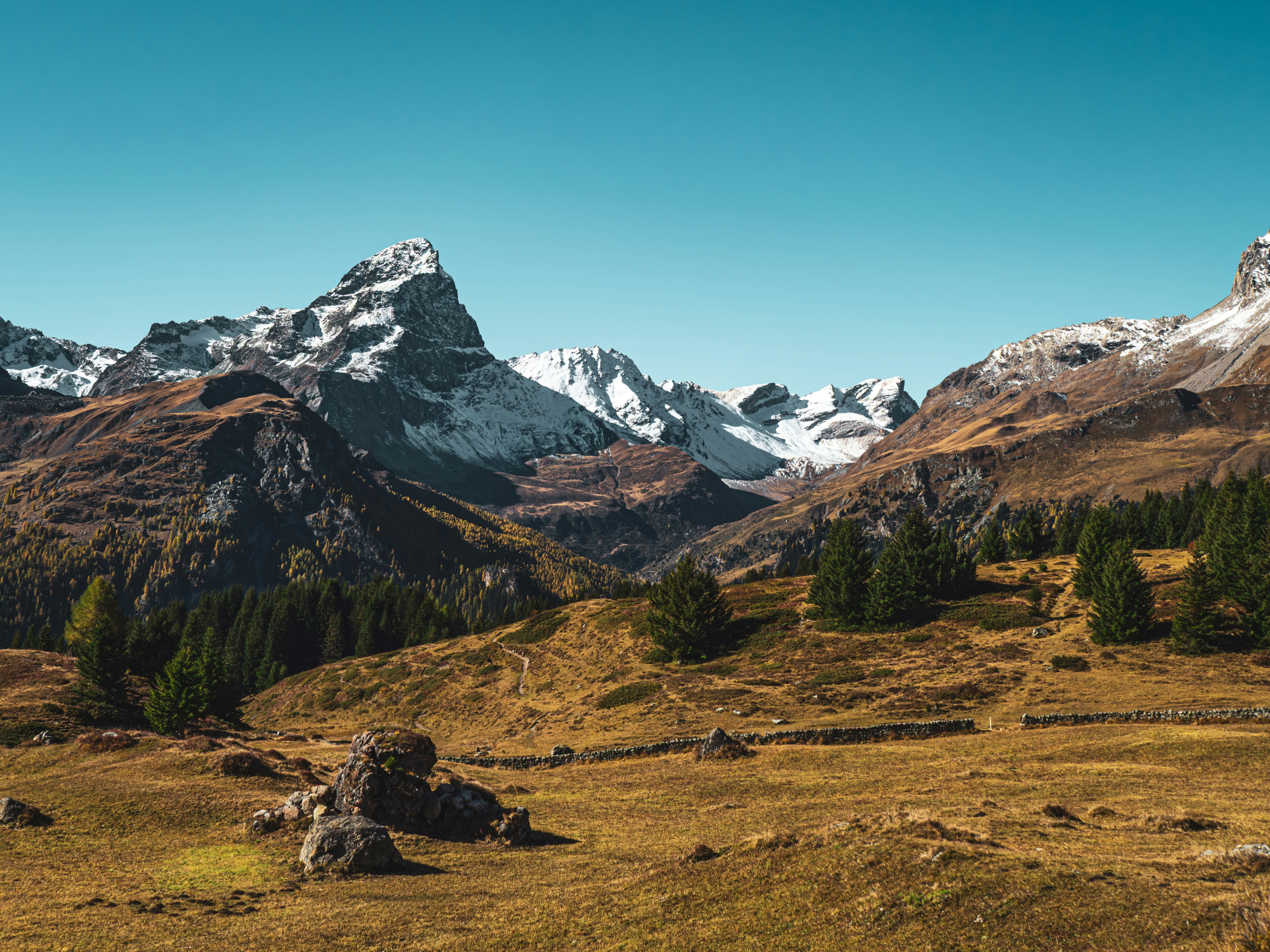 Photo by poli_graphy