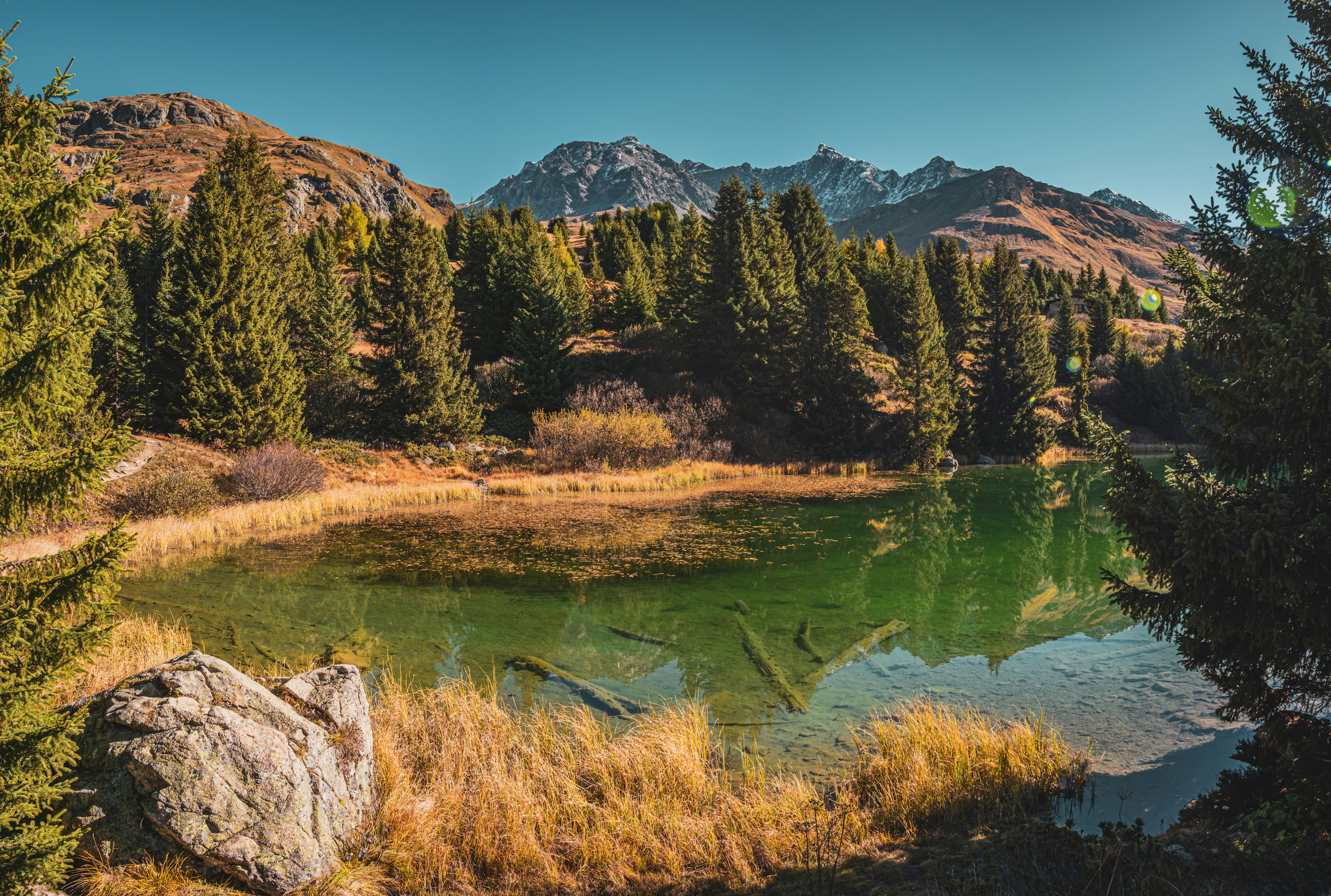 Photo by poli_graphy