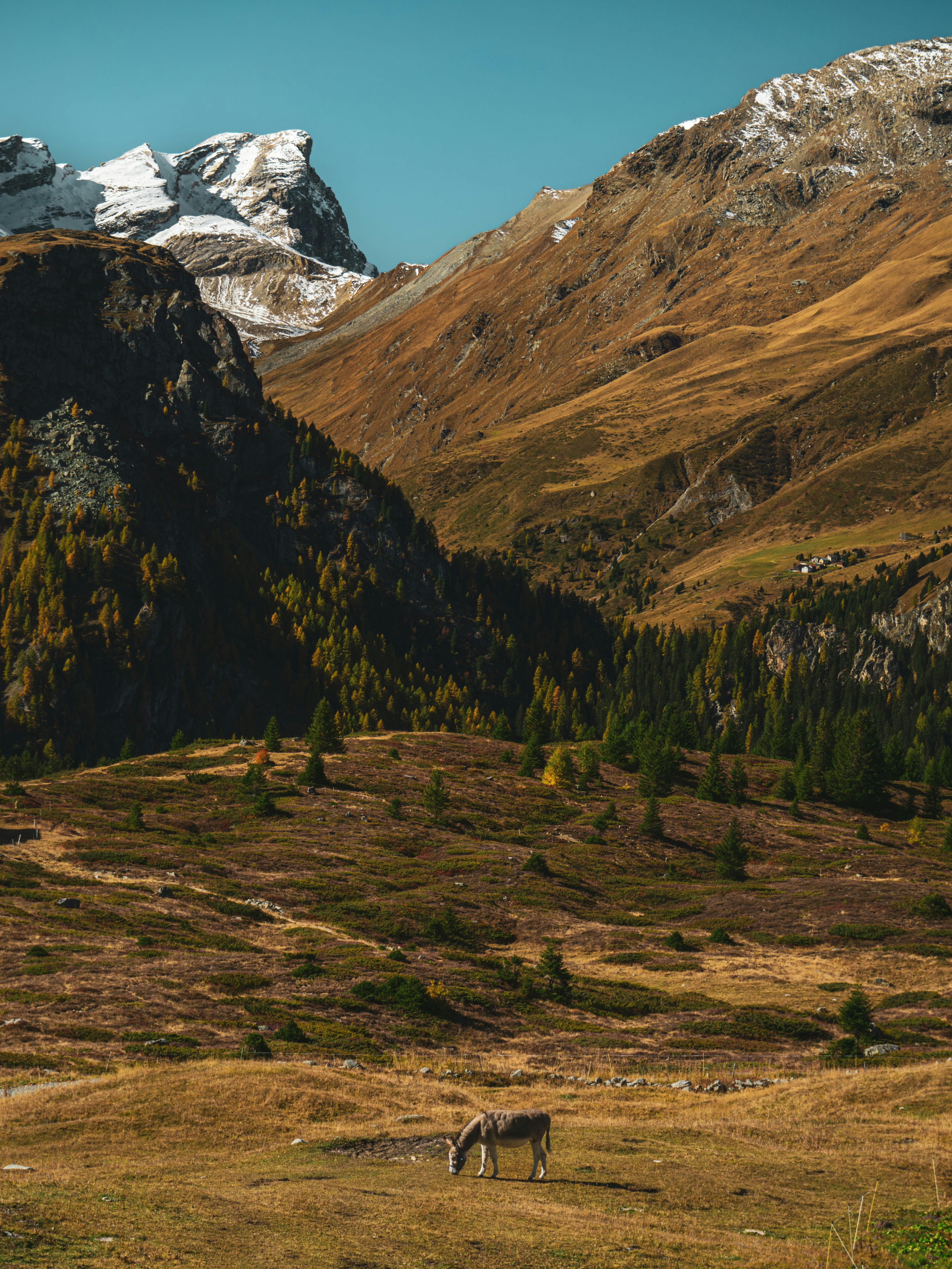 Photo by poli_graphy