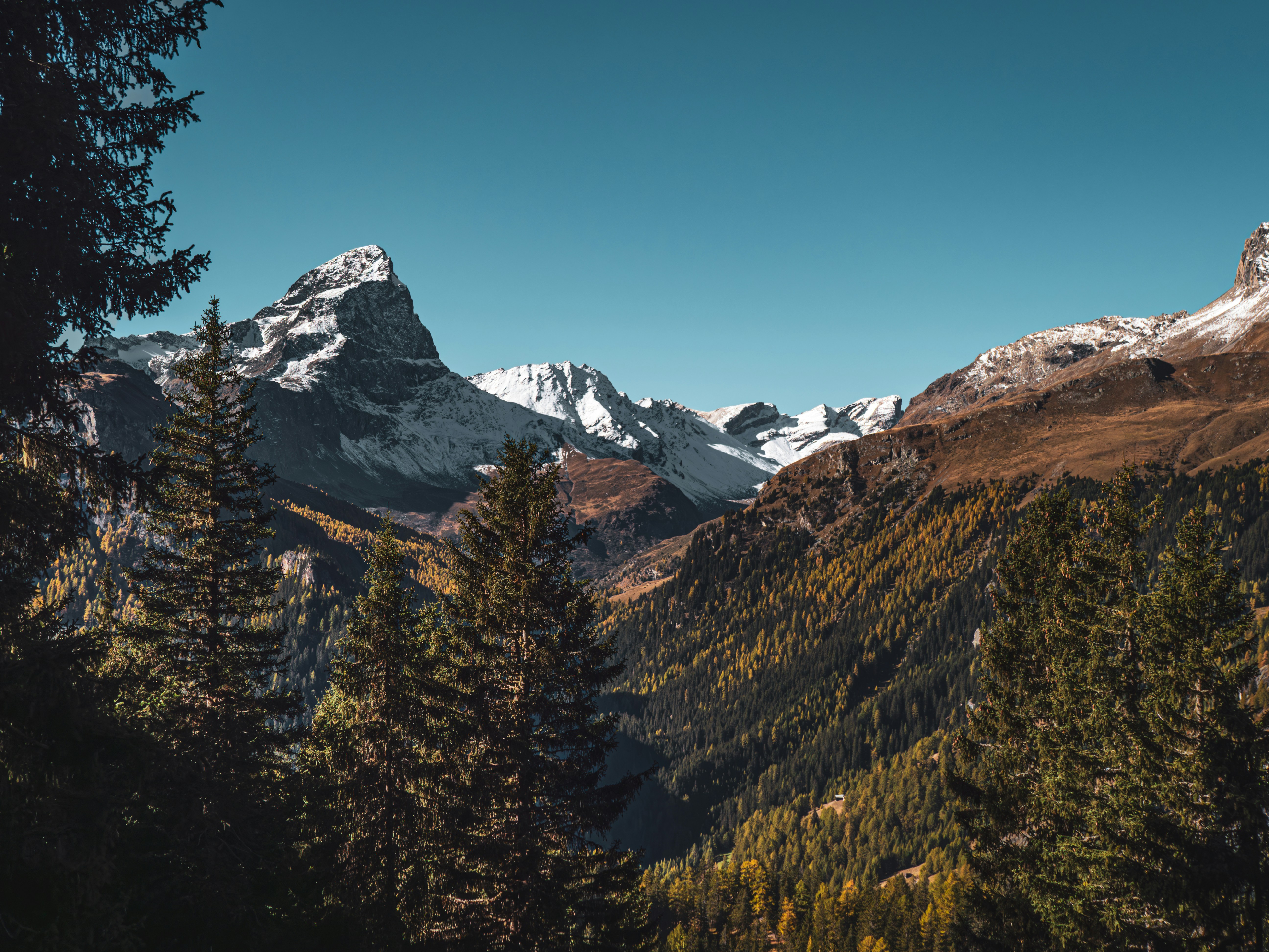 Photo by poli_graphy