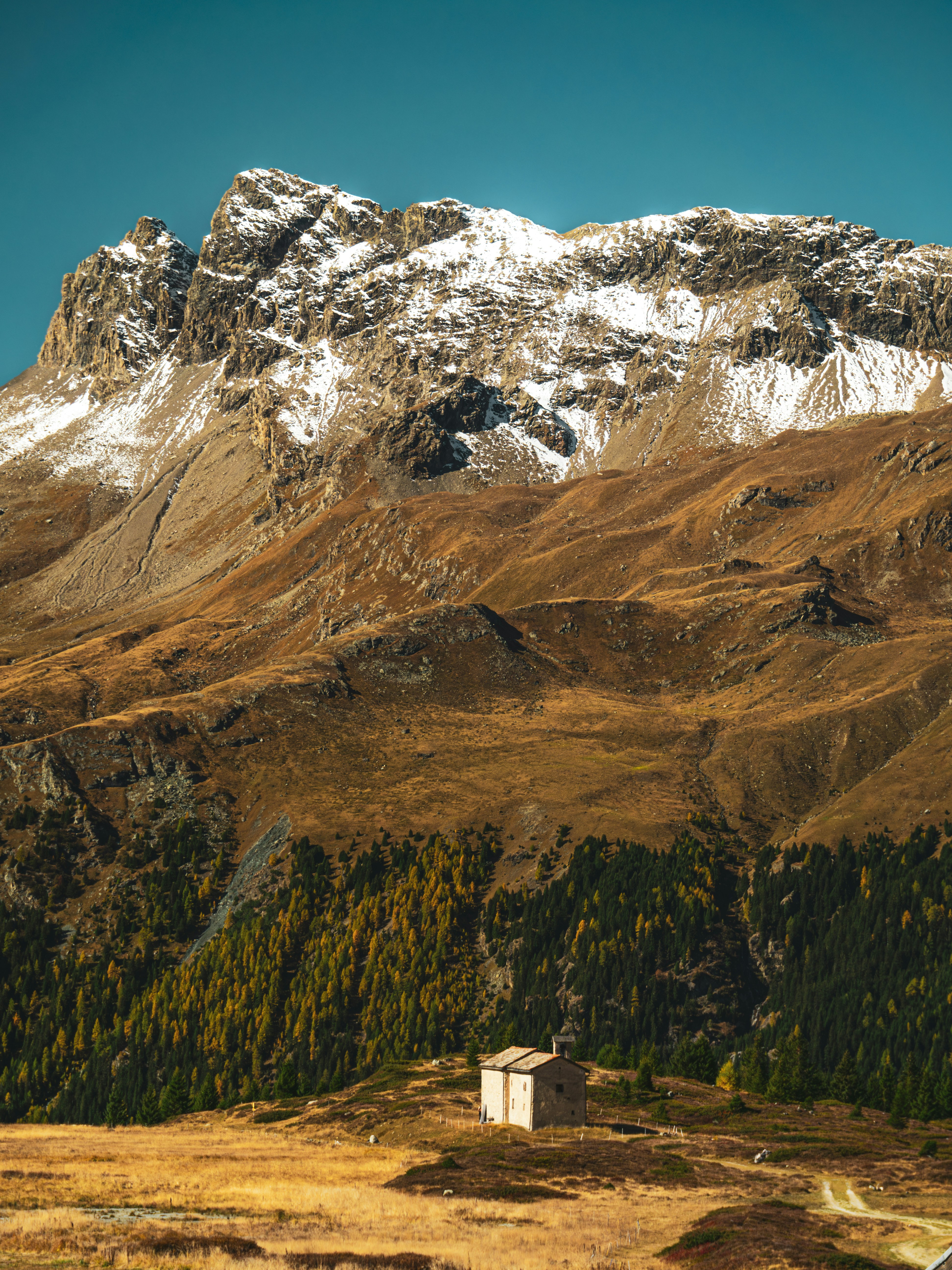 Photo by poli_graphy