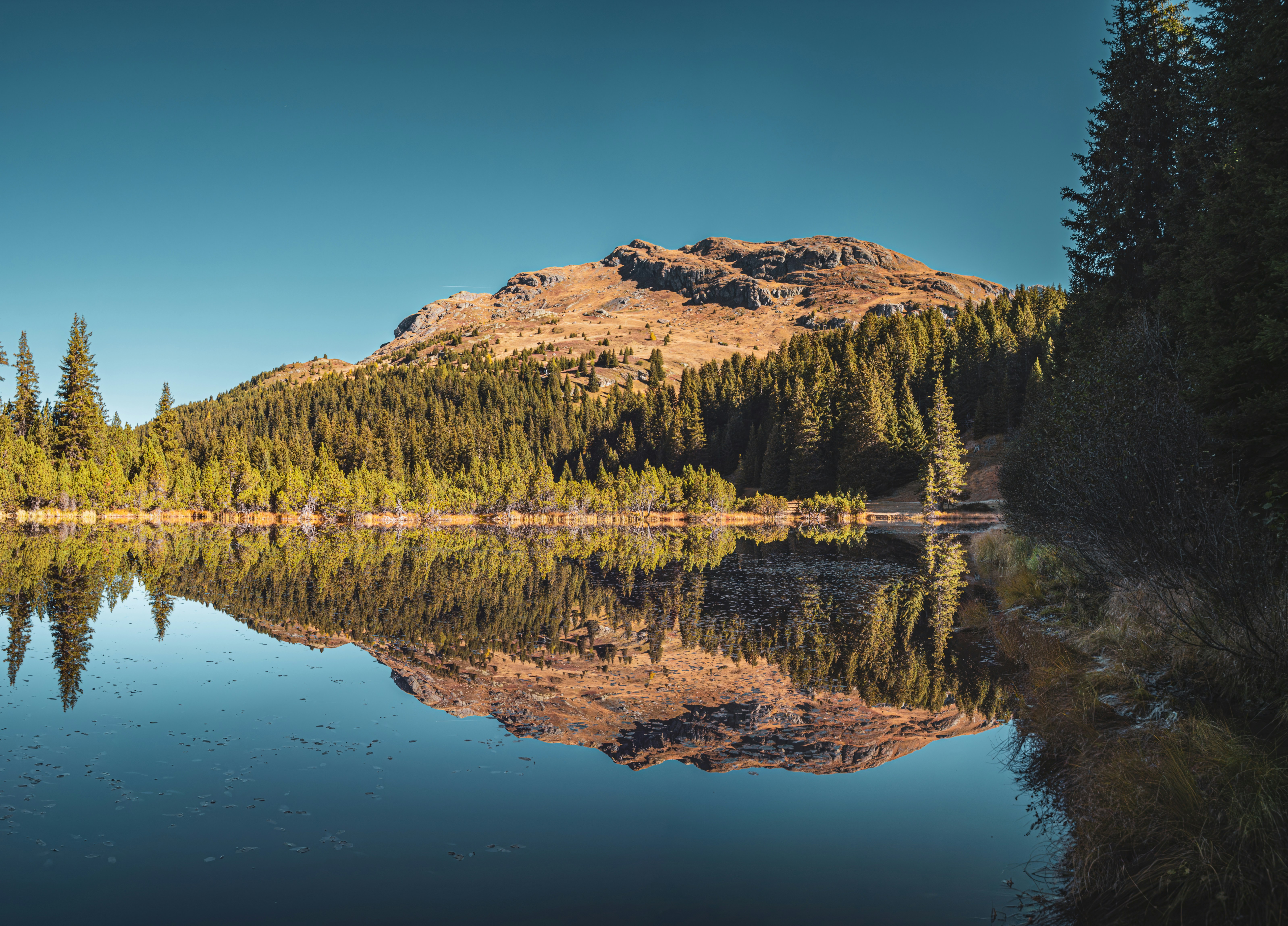 Photo by poli_graphy