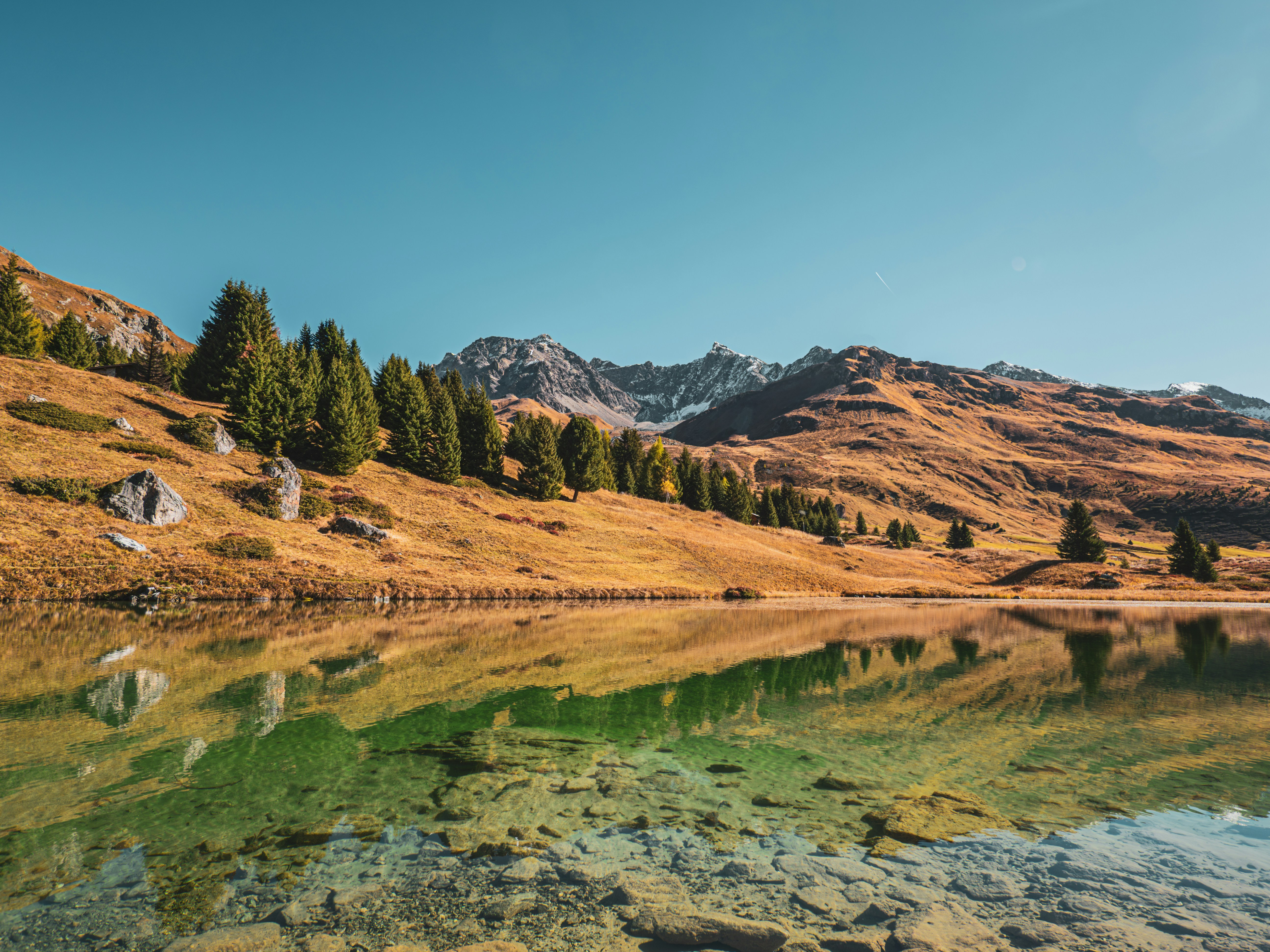 Photo by poli_graphy