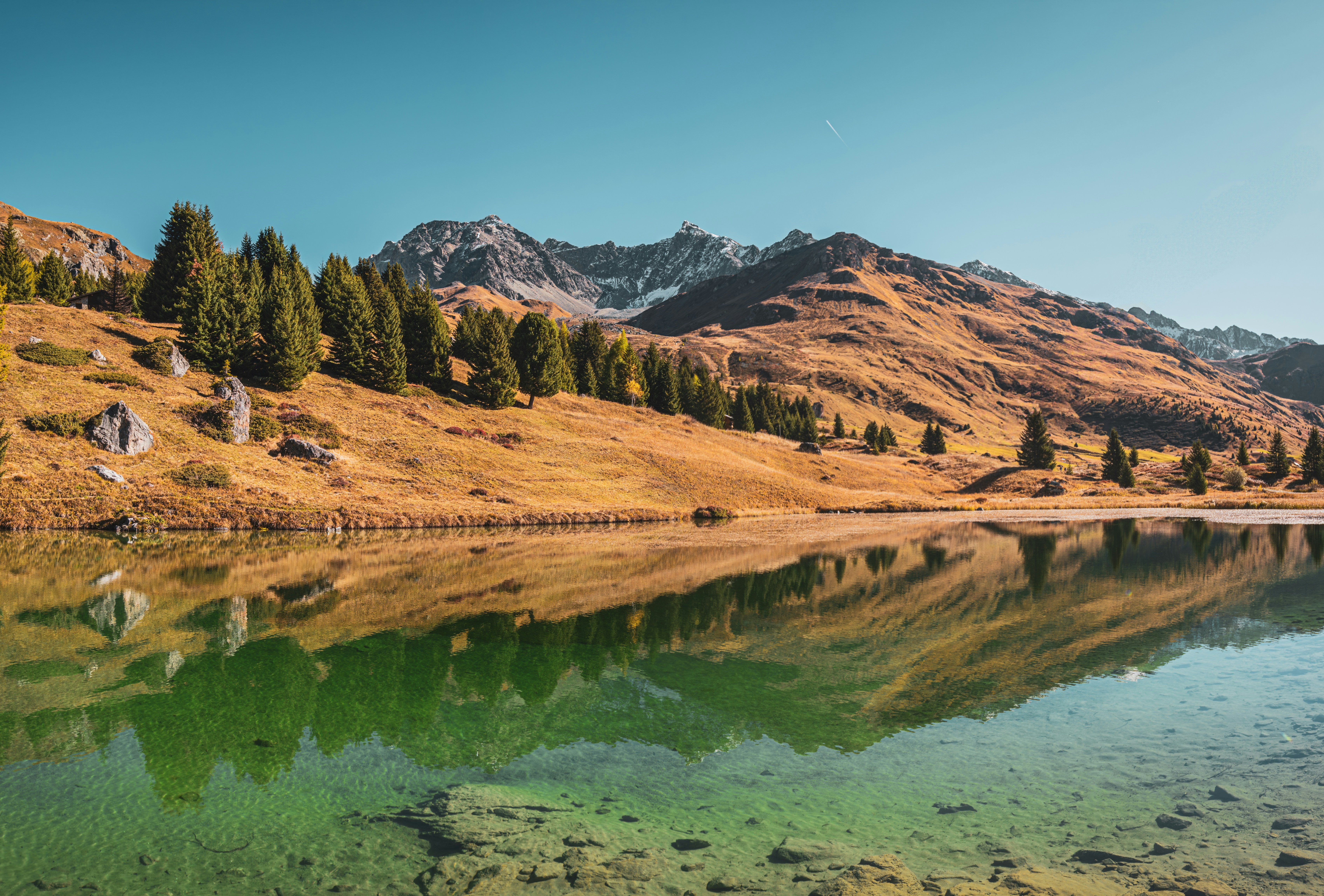 Photo by poli_graphy