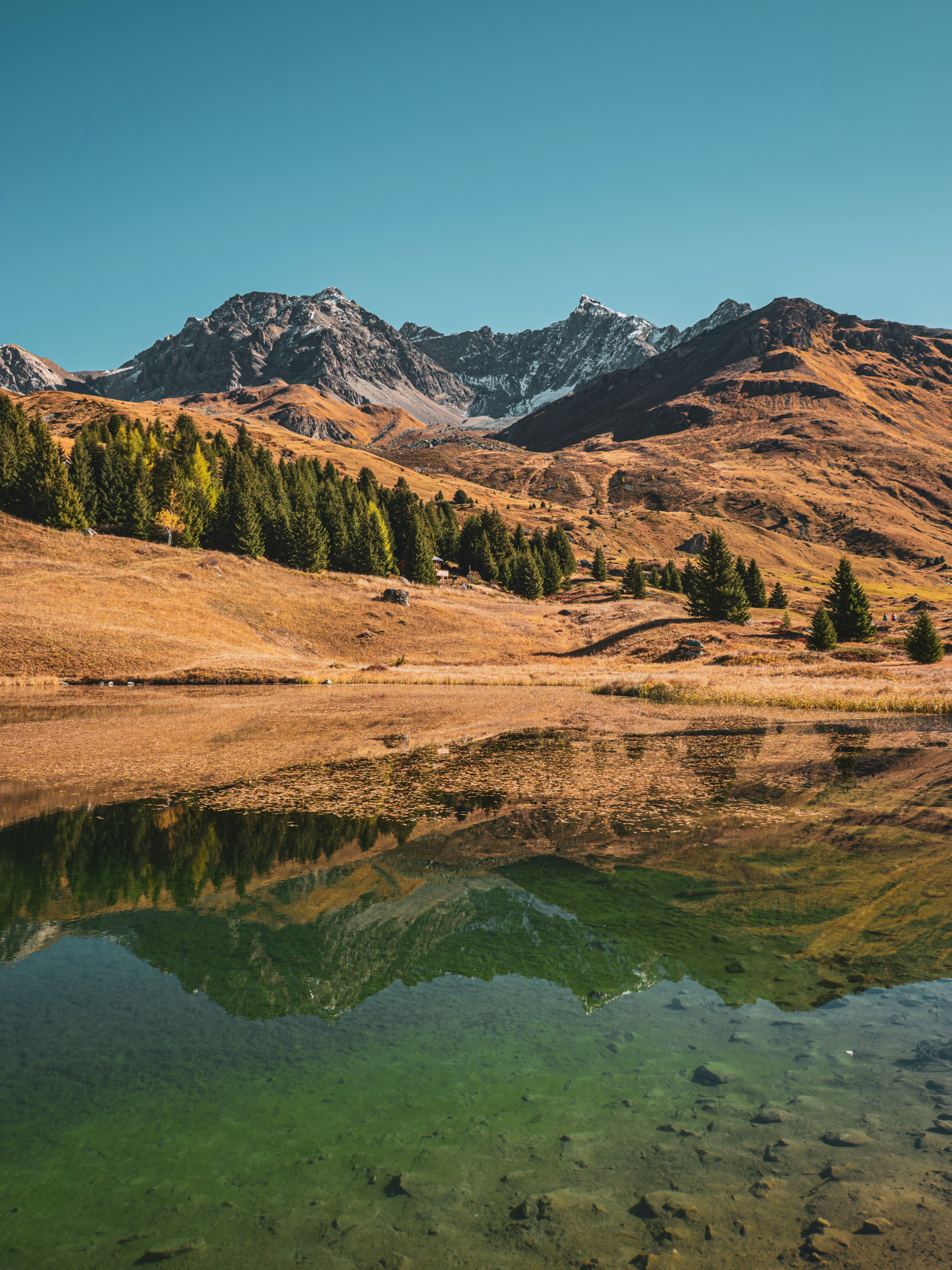 Photo by poli_graphy