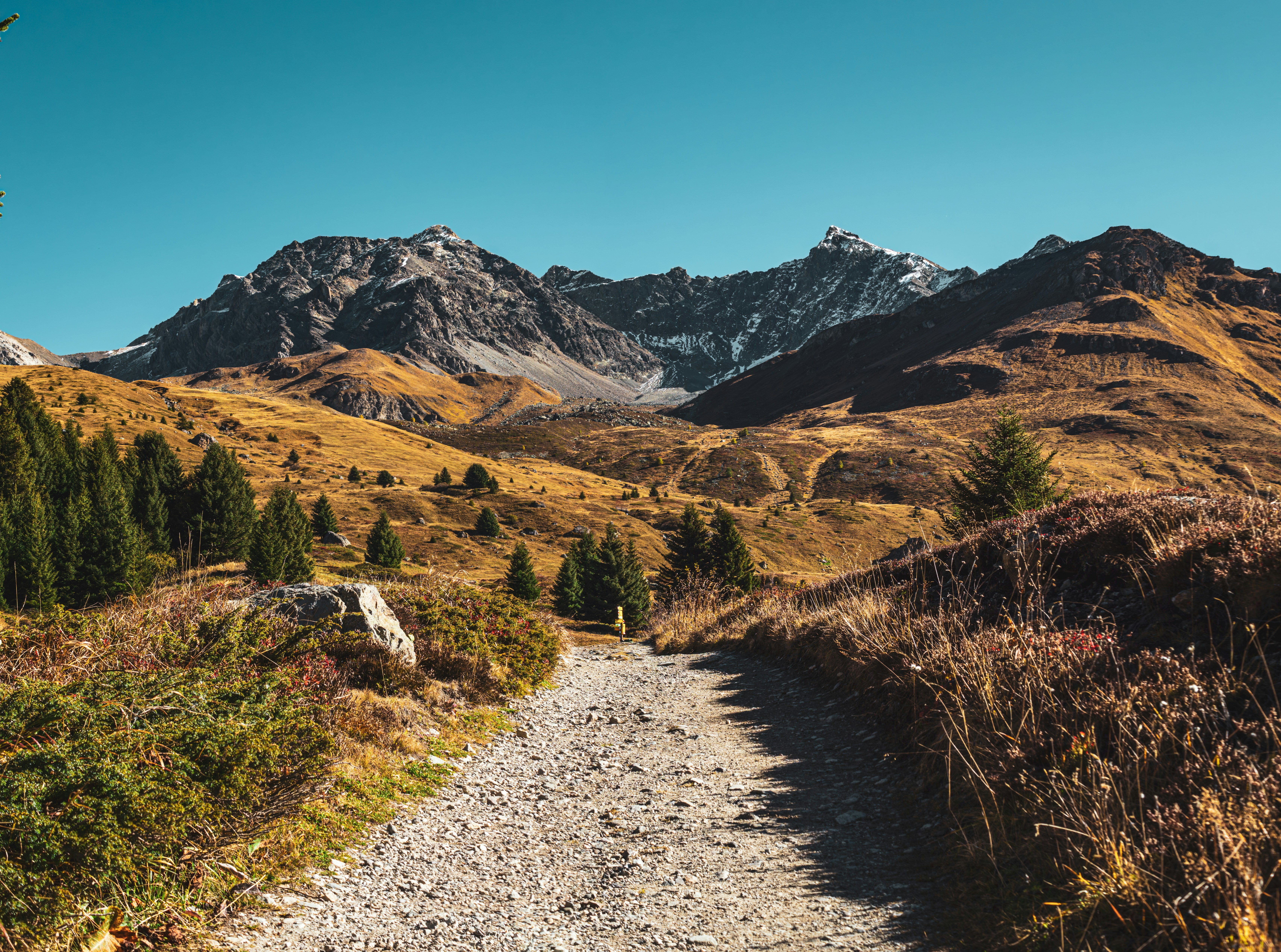 Photo by poli_graphy