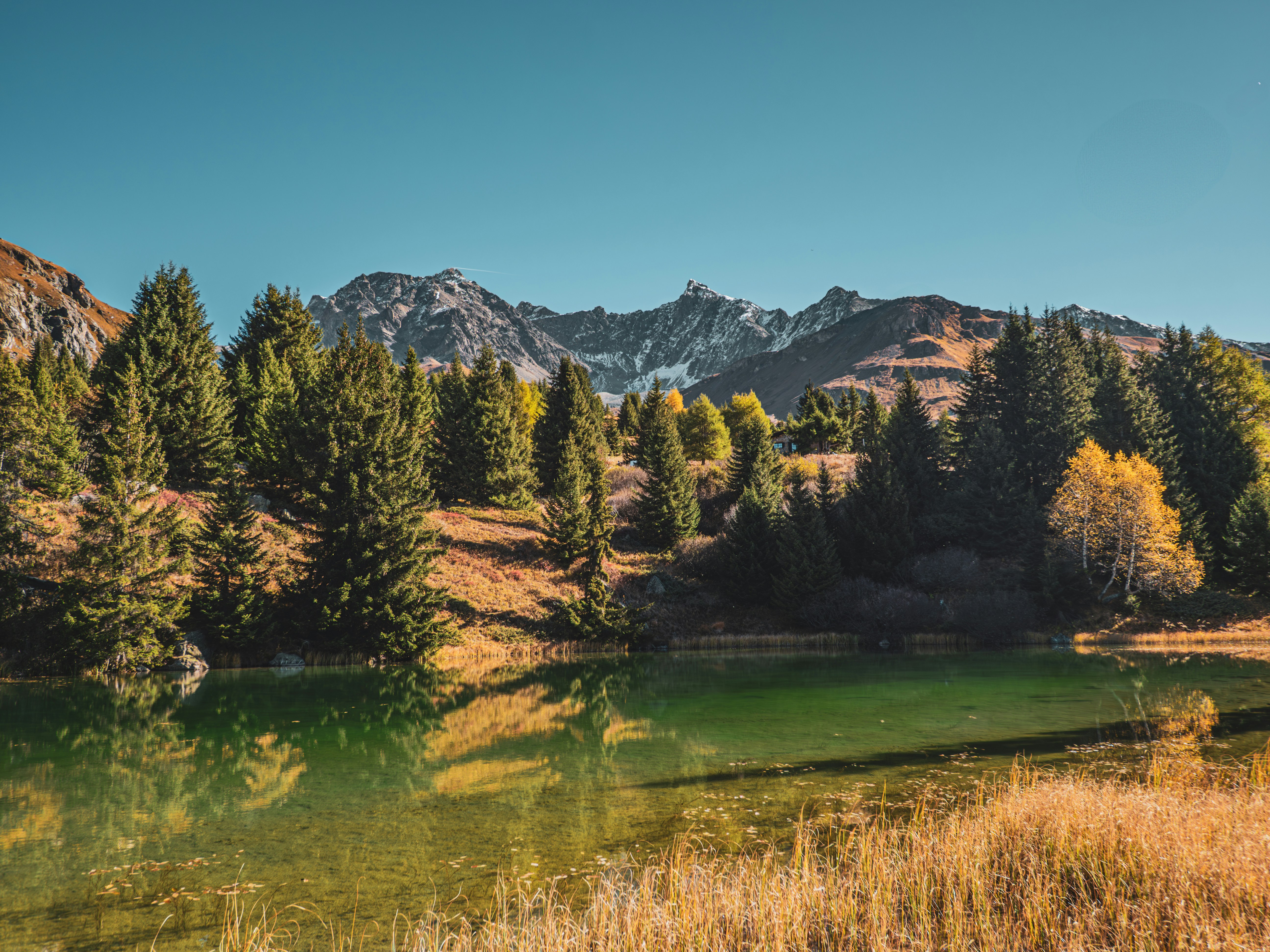 Photo by poli_graphy