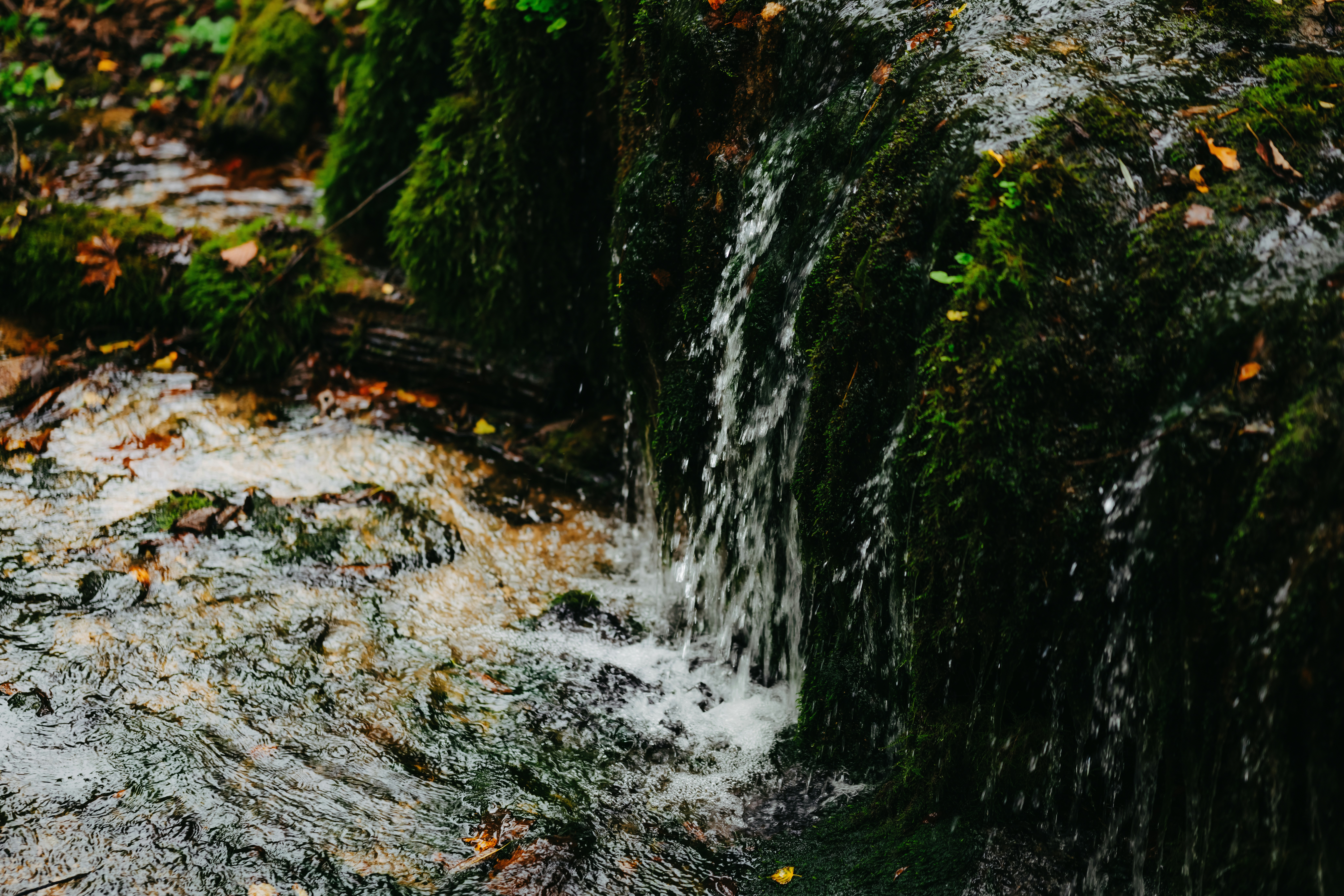 Photo by kristapsungurs