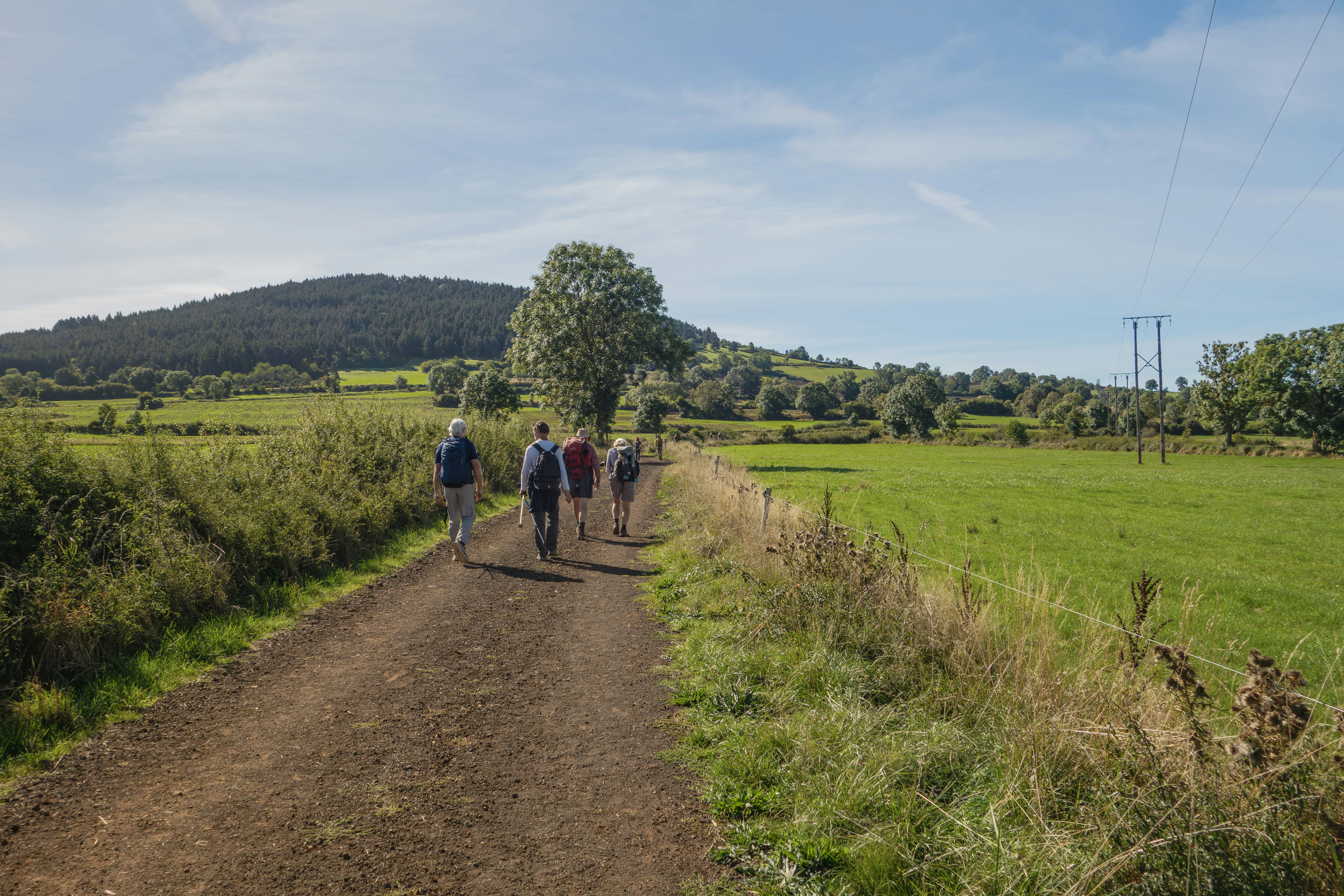 10 Trekking Fitness Programs for Muscle Endurance on Long Walks