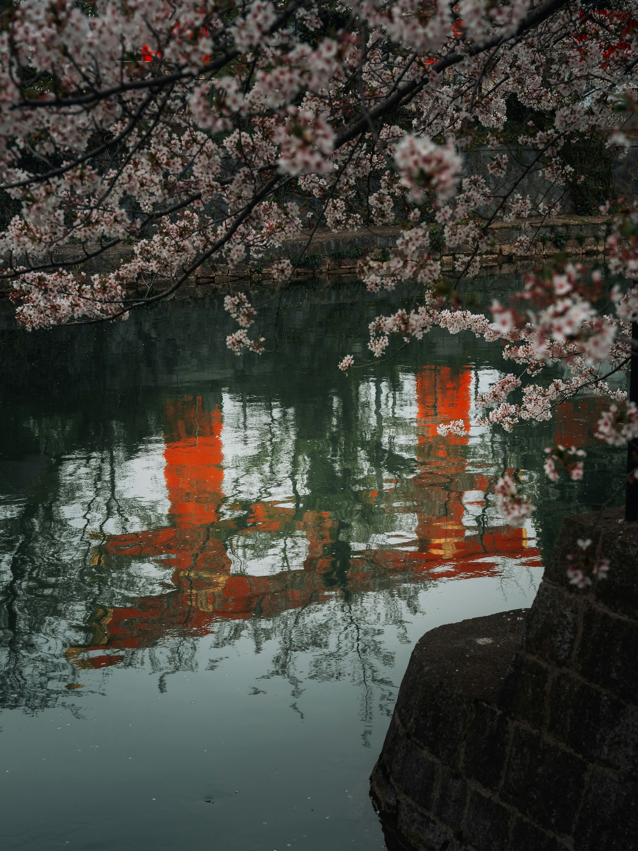 Photo by sebastiandugudae