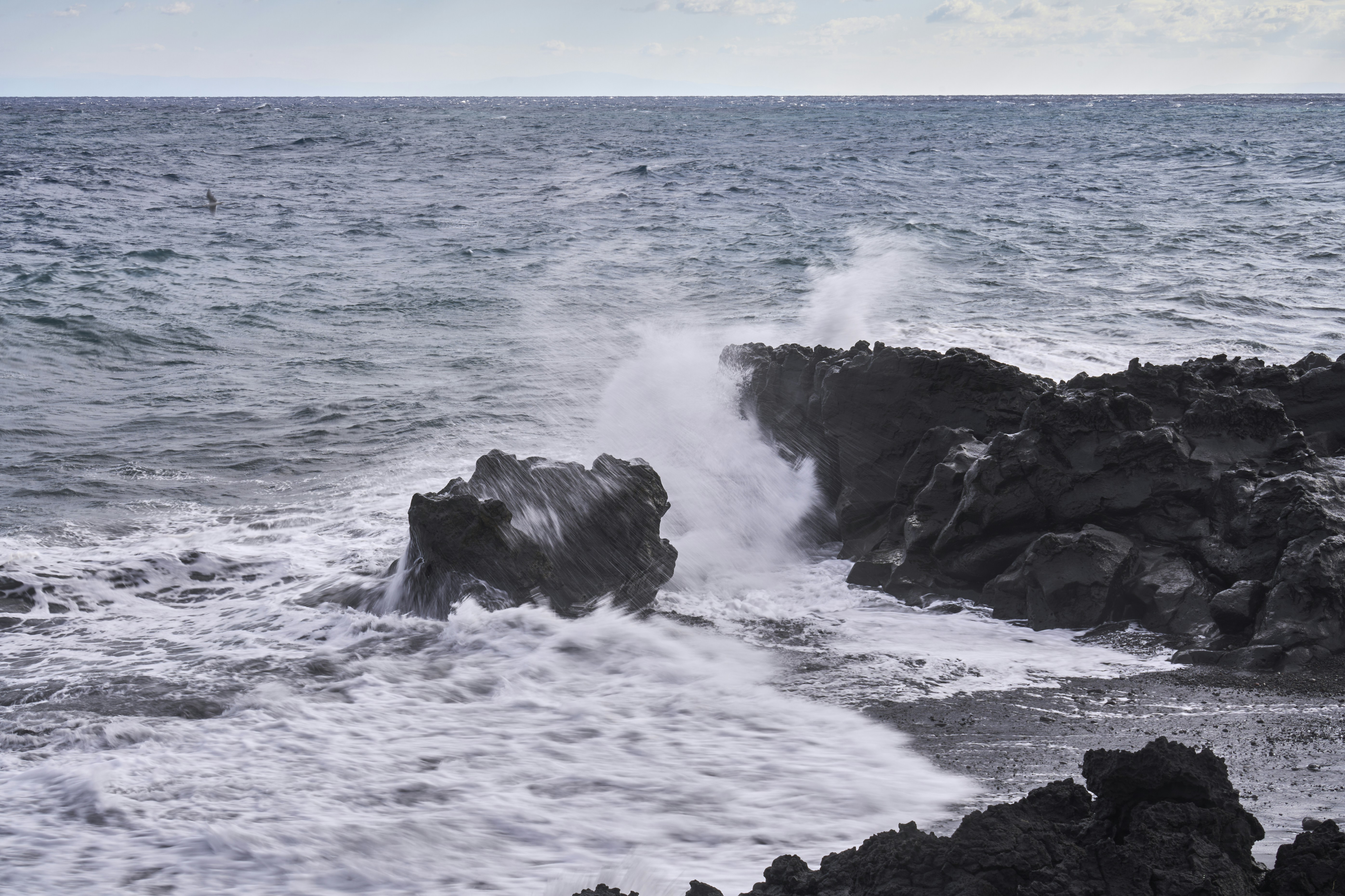 Photo by wolfgang_hasselmann