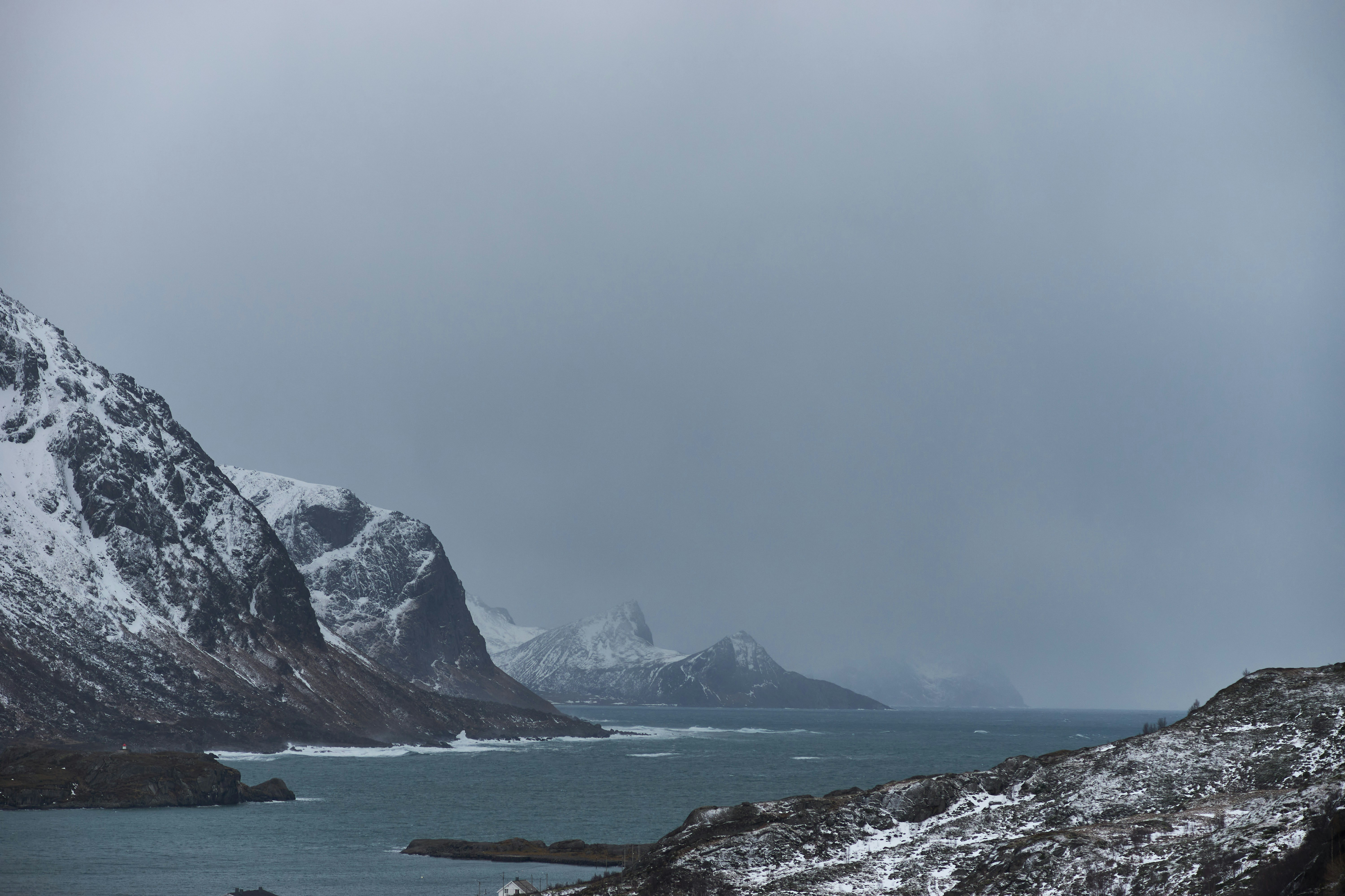 Photo by wolfgang_hasselmann