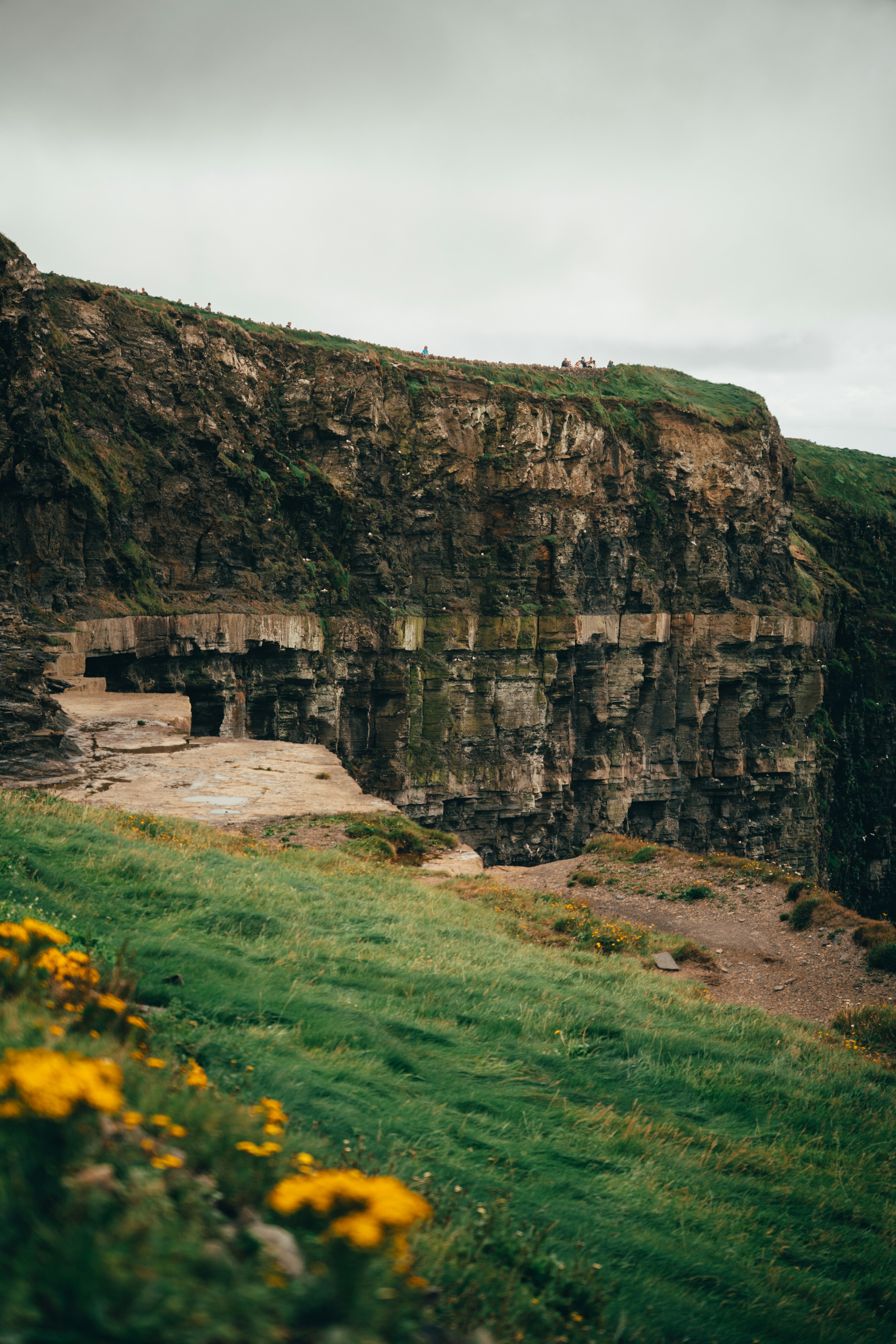 Los acantilados irregulares se elevan sobre una ladera verde cubierta de hierba con flores.