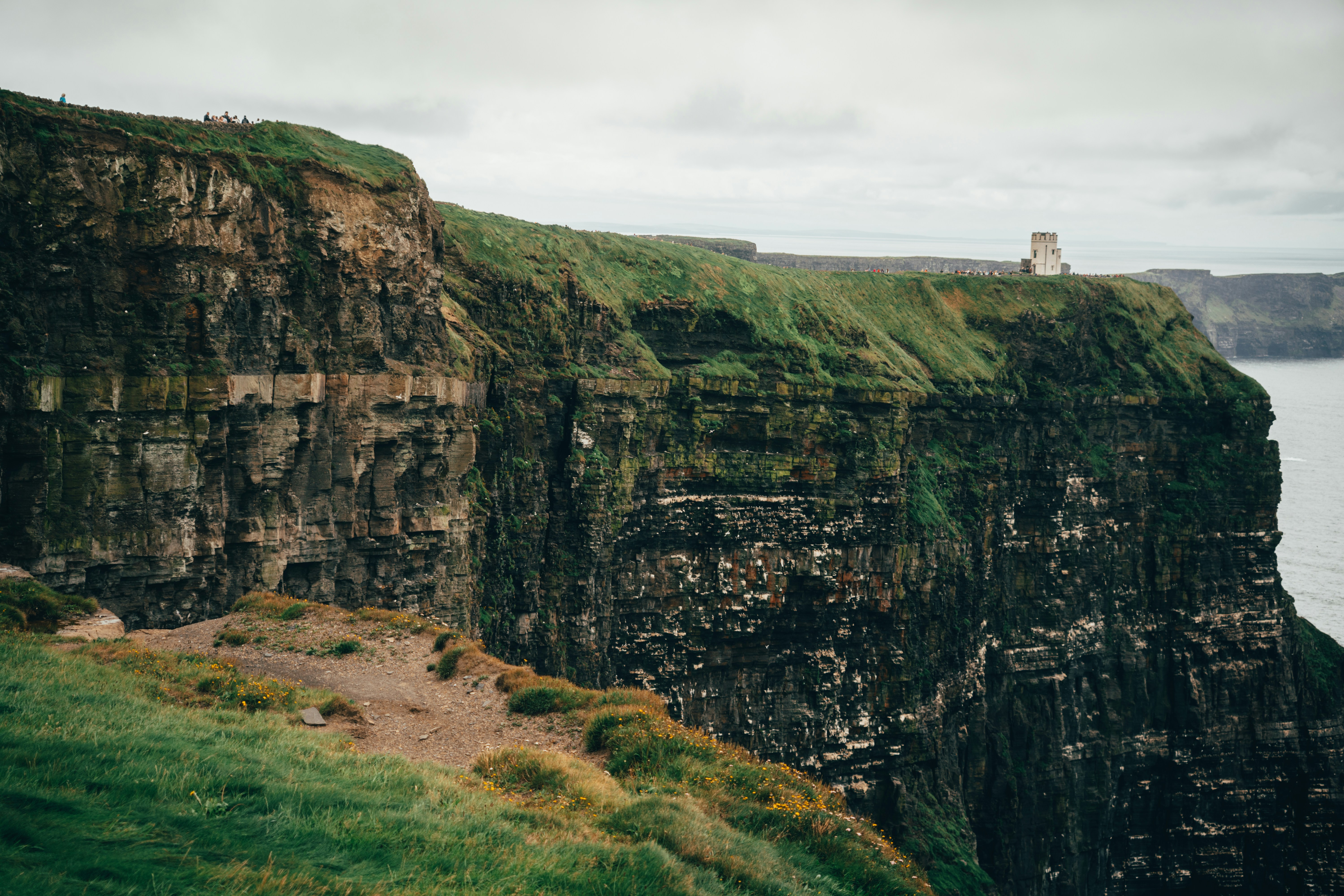 La hierba verde cubre espectaculares acantilados con vista al océano.