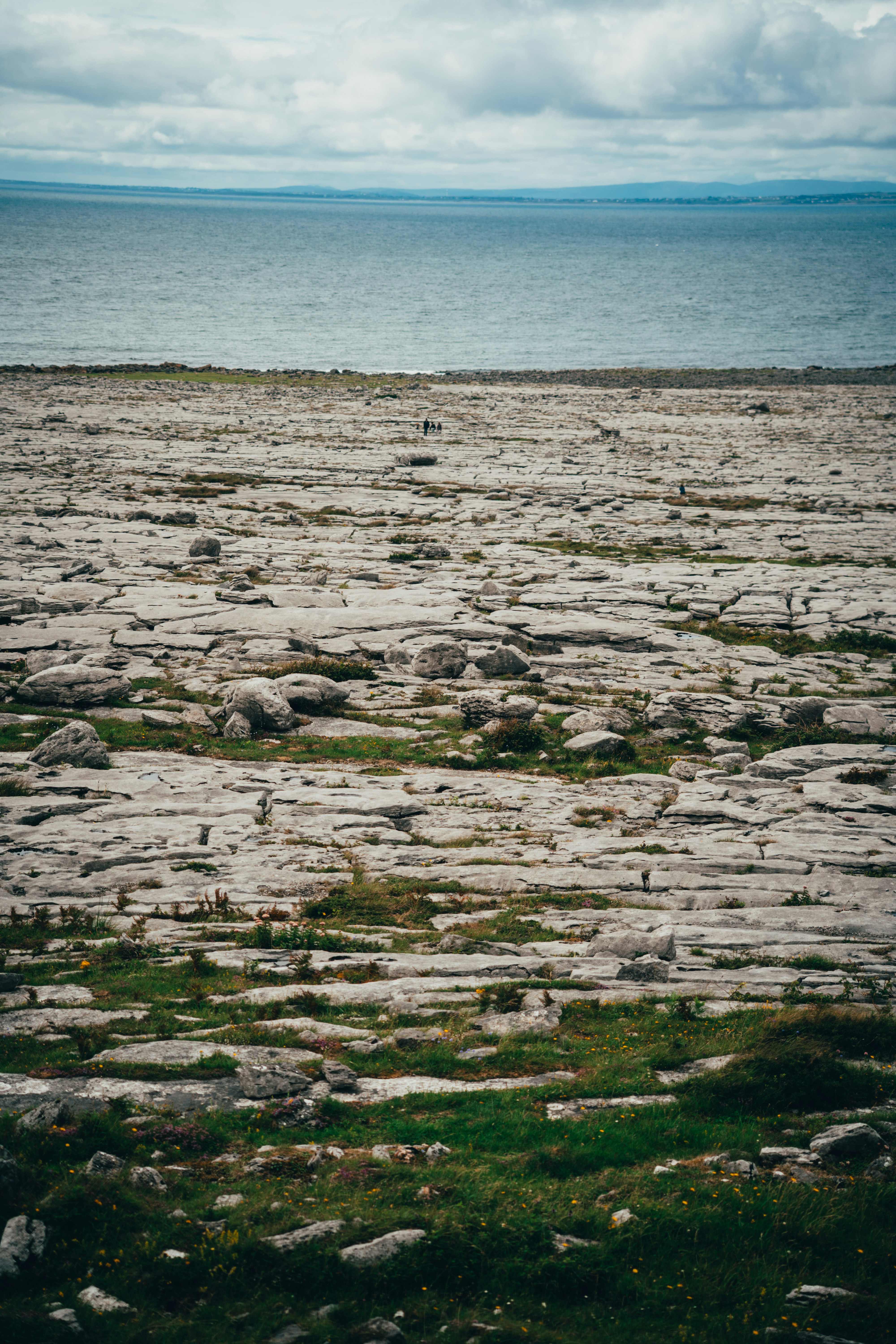Costa rocosa con hierba escasa y océano en calma
