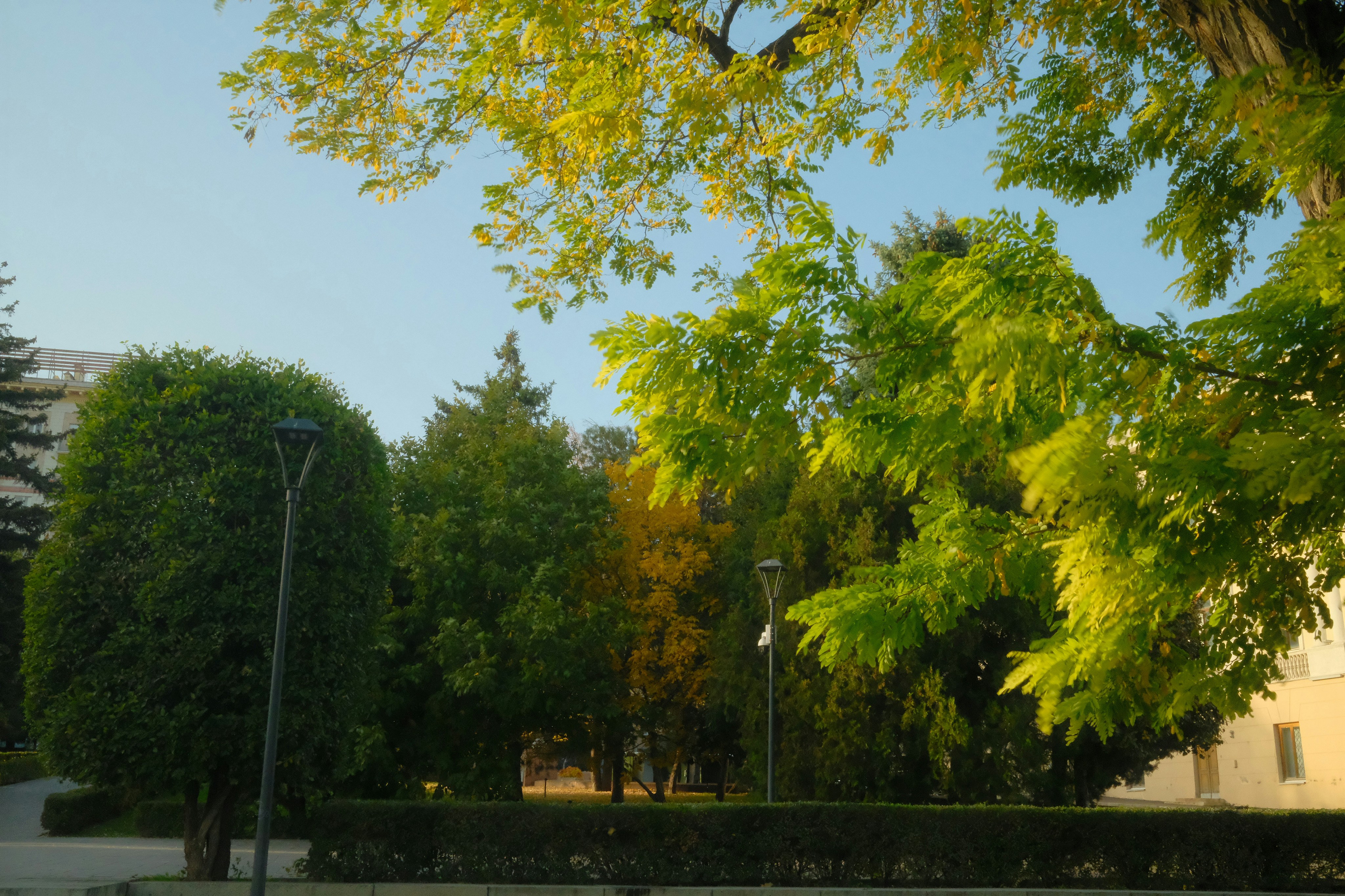 Photo by endtroducing95_