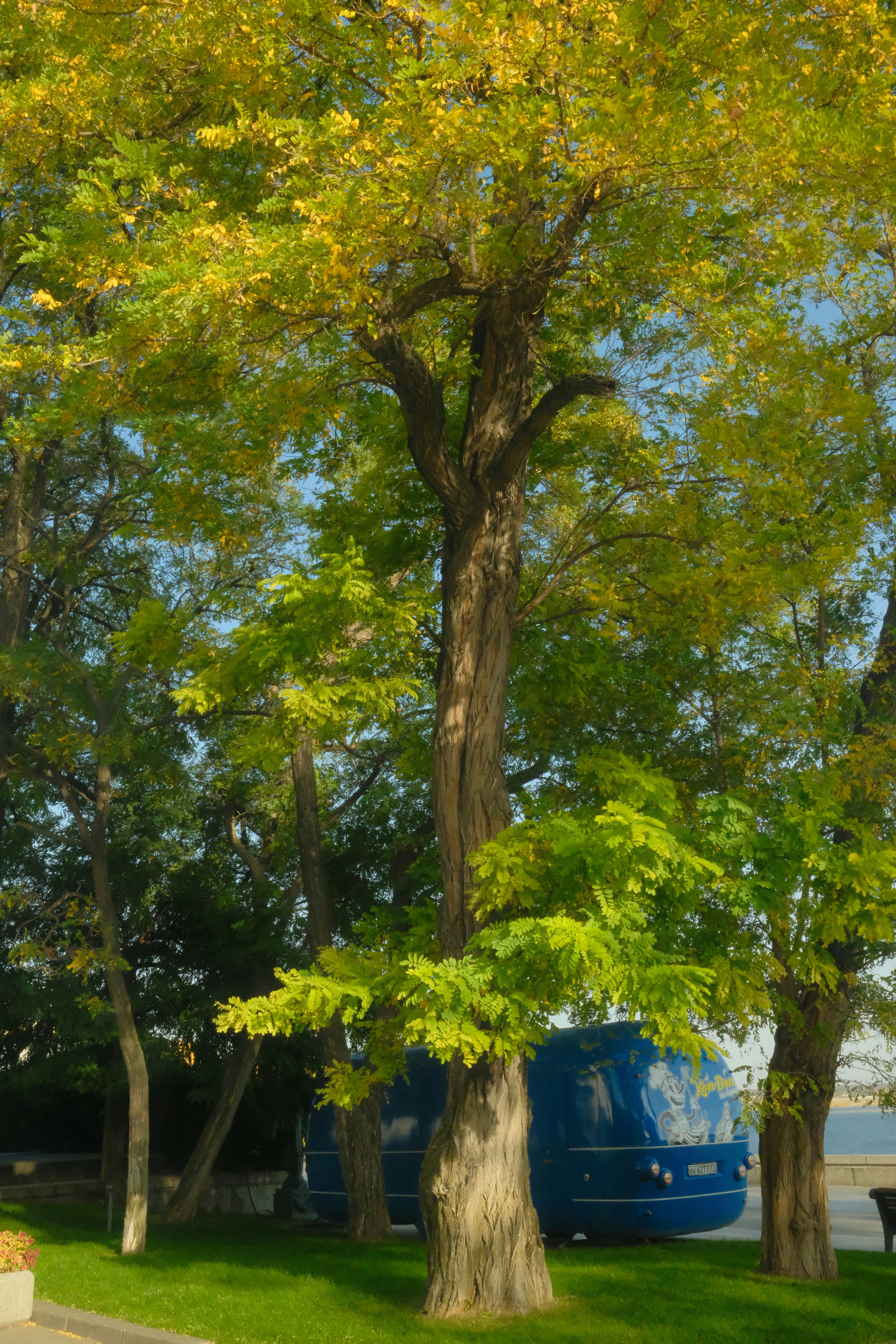 Photo by endtroducing95_