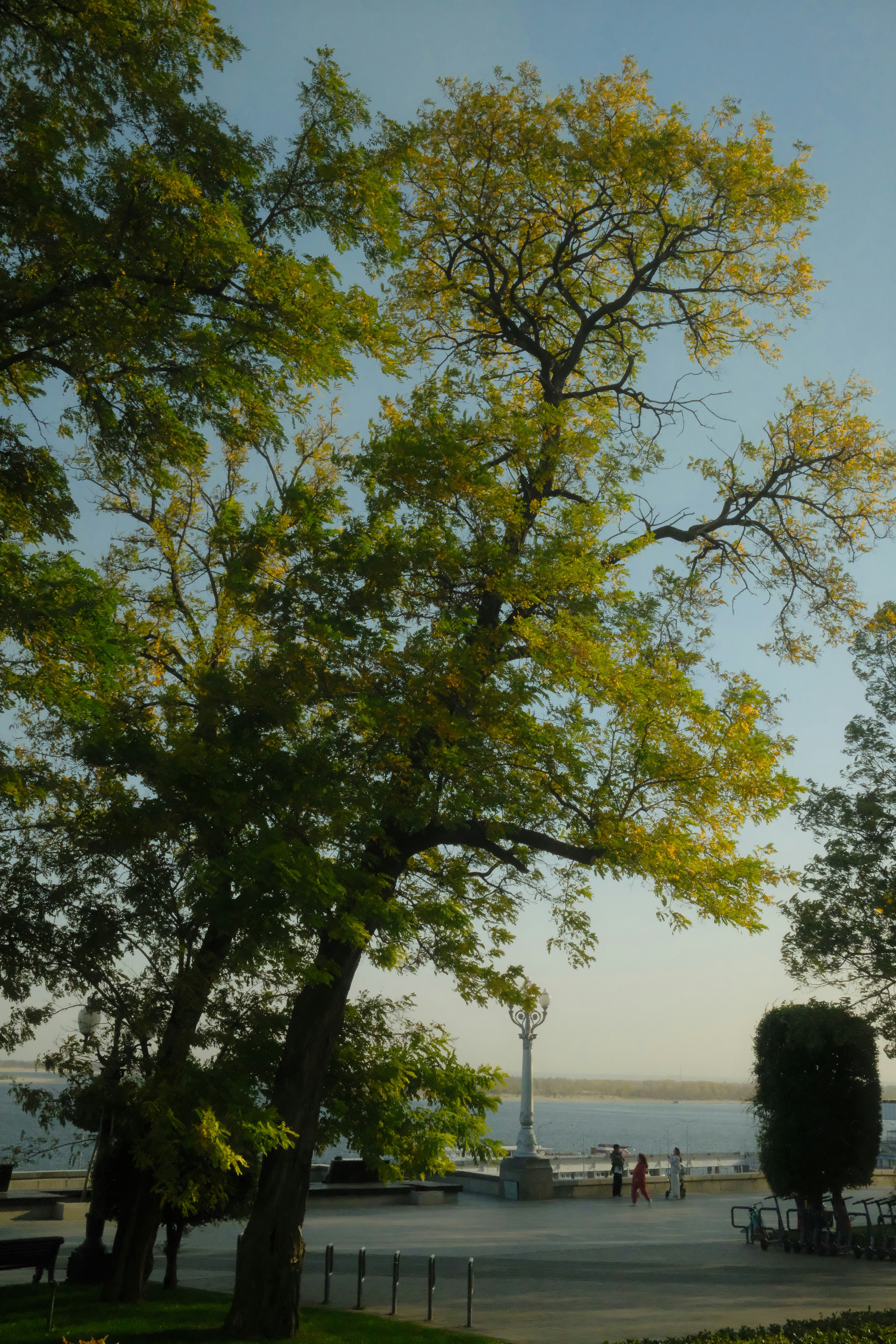 Photo by endtroducing95_