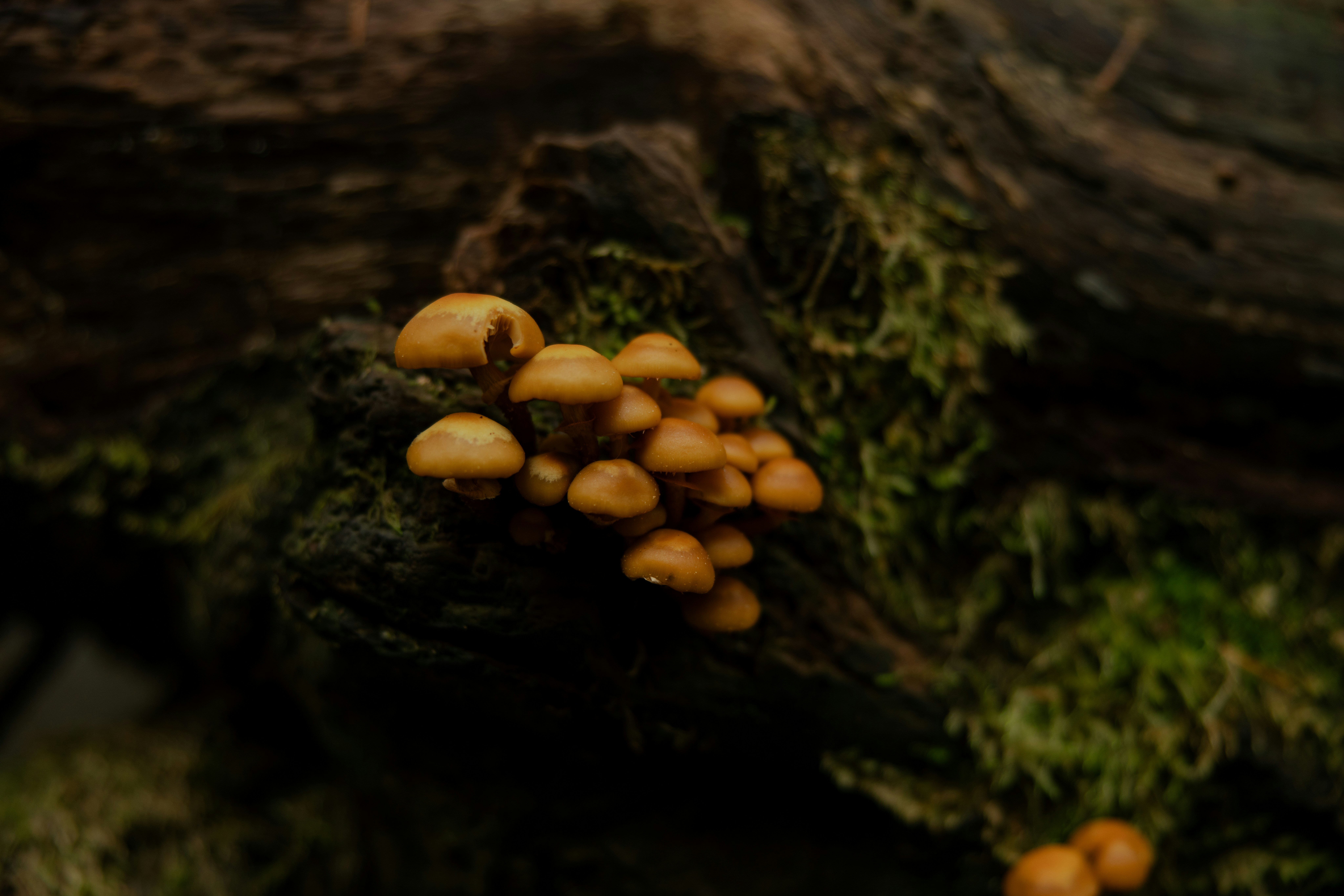 Advanced Signals: How Micro‑Logistics, Edge Resilience and Creator Cashflows Are Shaping Small‑Cap Winners in 2026