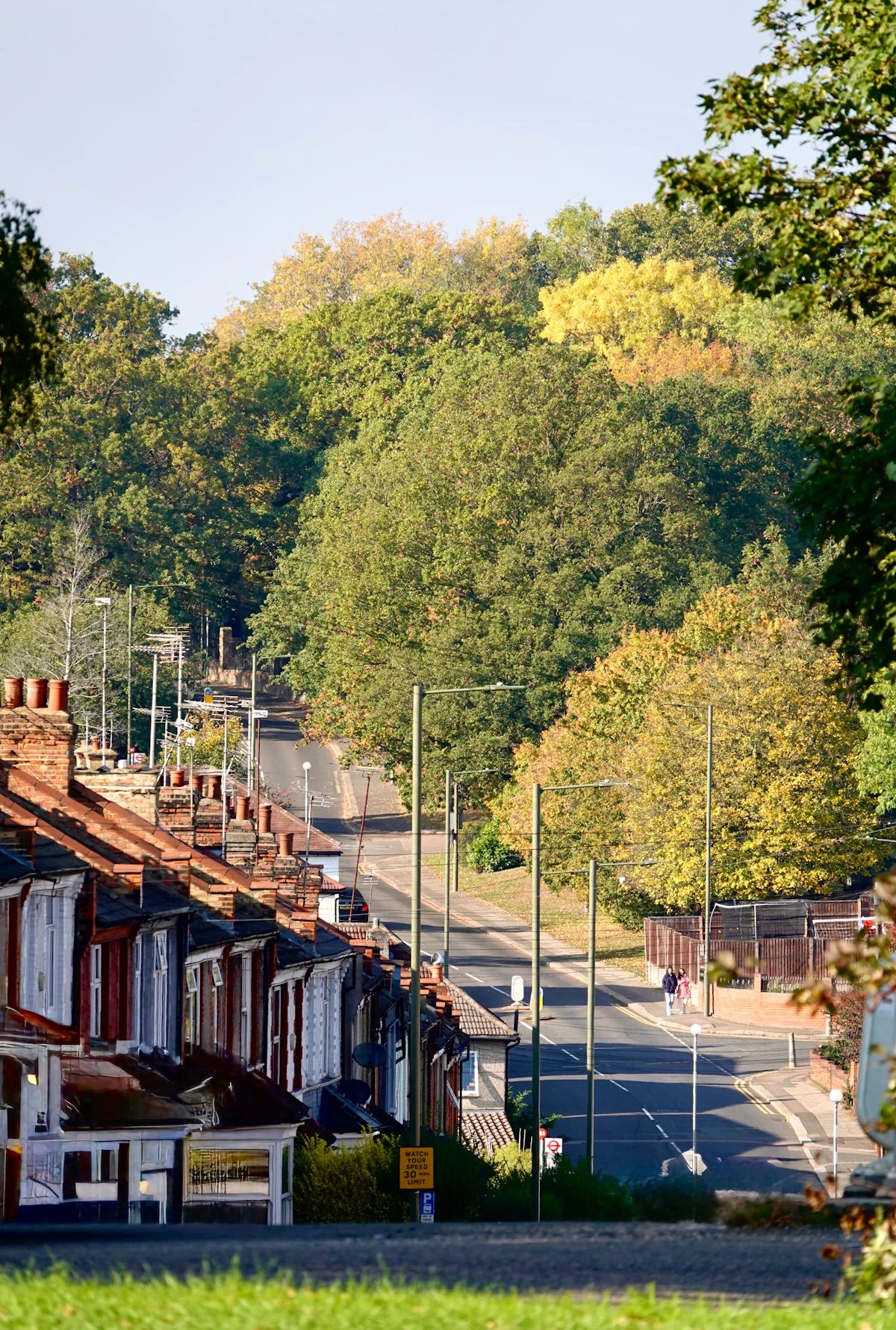 Row of houses with well-maintained siding on a tree-lined street