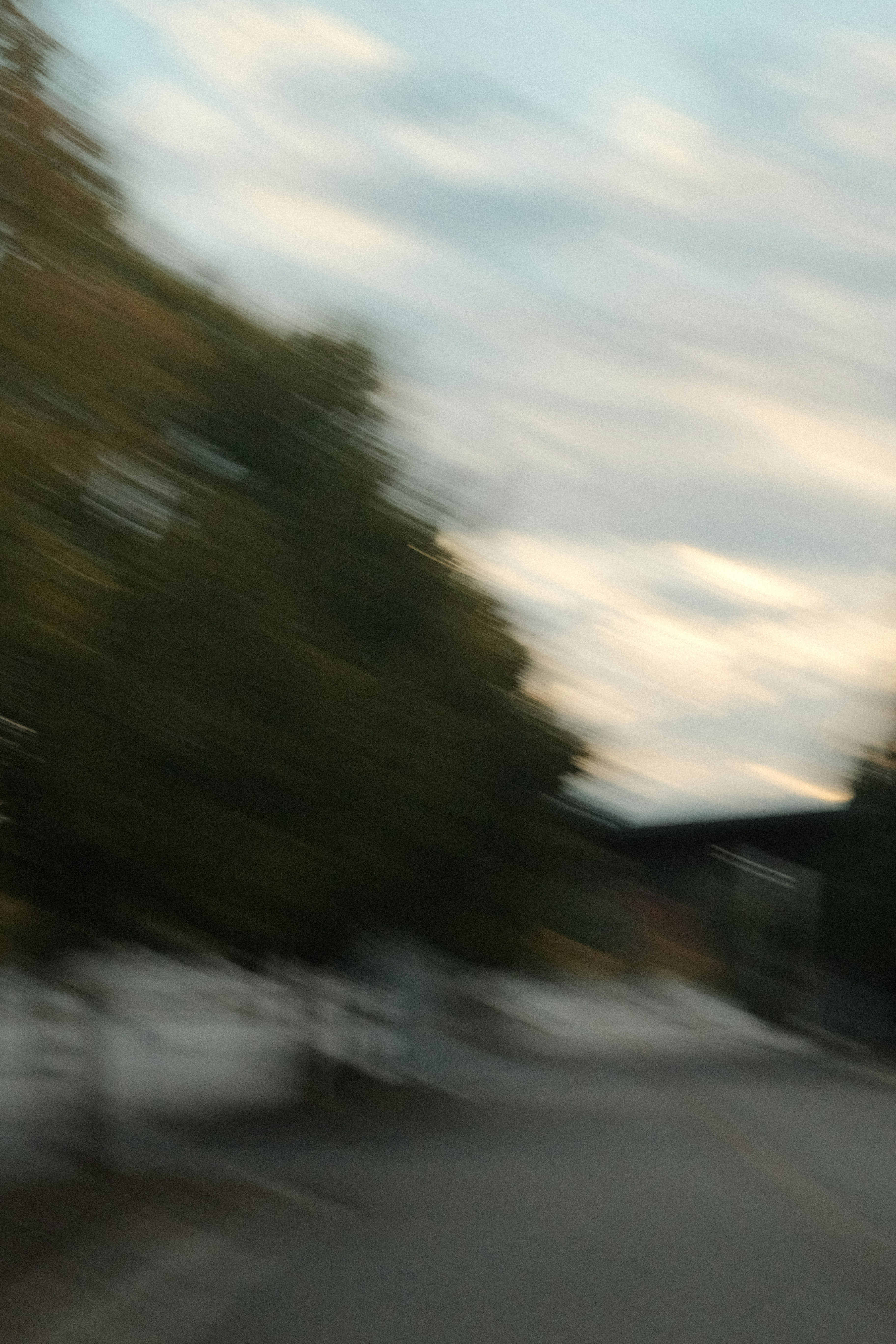 Photo by travisfishl