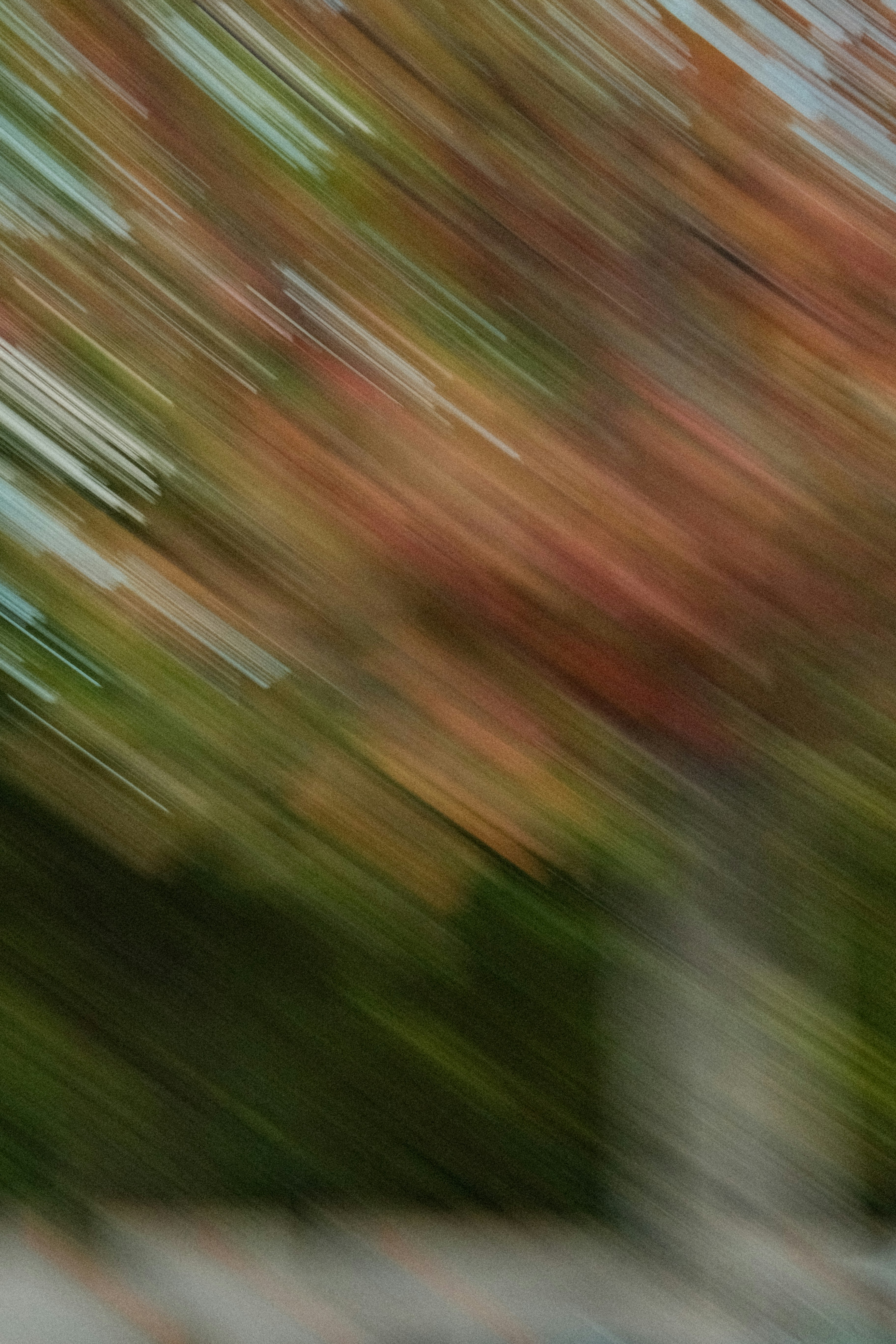 Photo by travisfishl