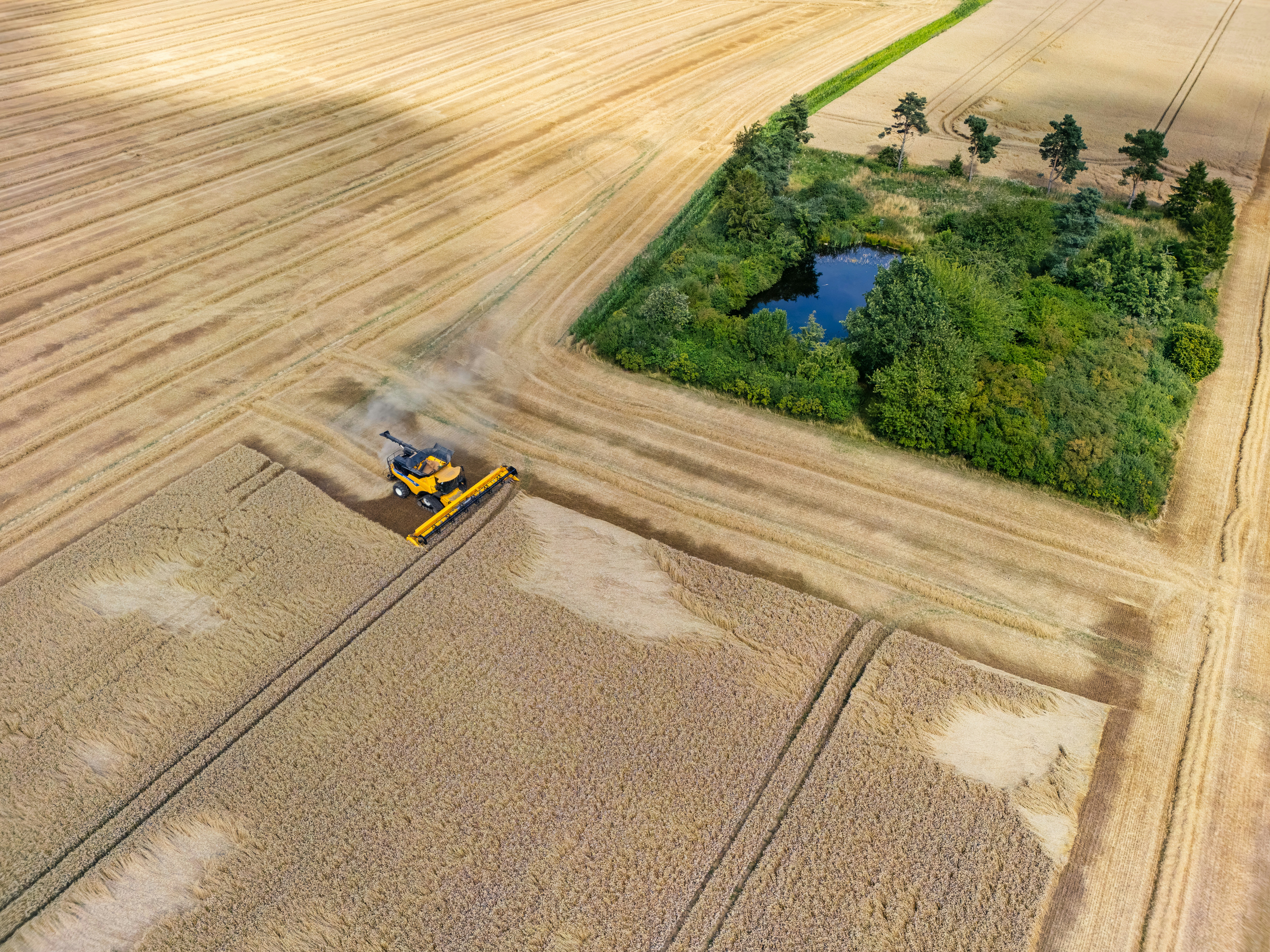 Carbon Capture Boosts Yields, Upends Agriculture's Green Dilemma