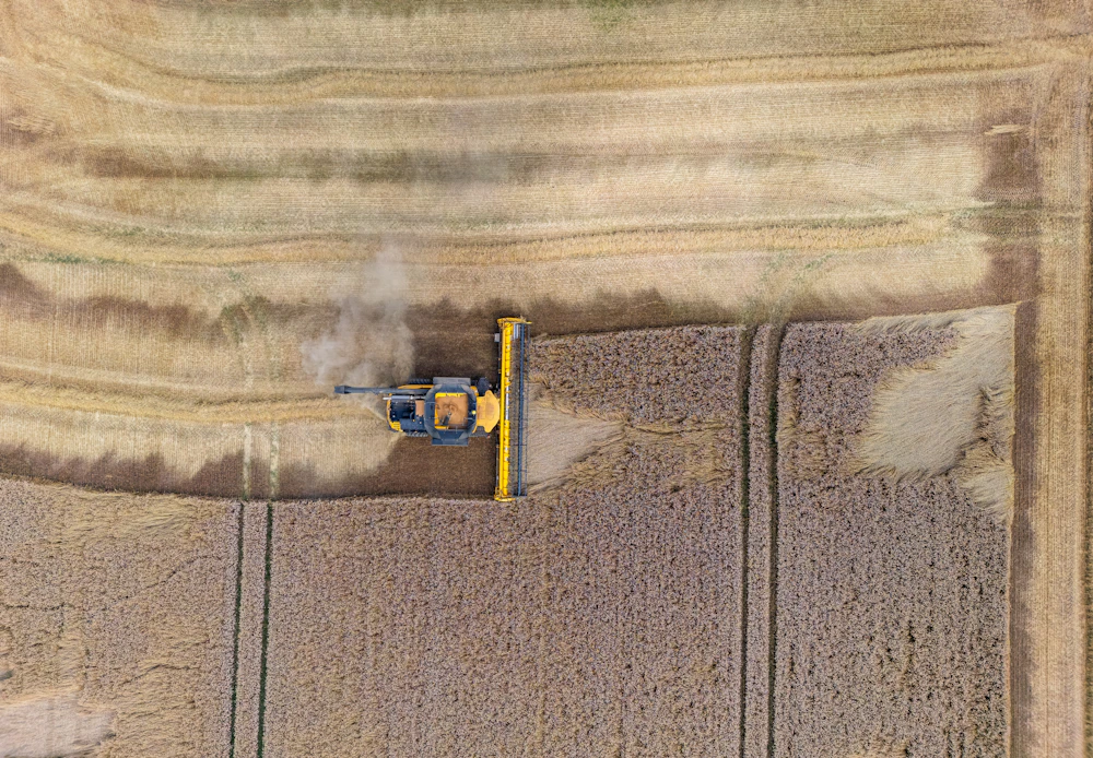 A combine harvester cutting a golden wheat field, seen from above