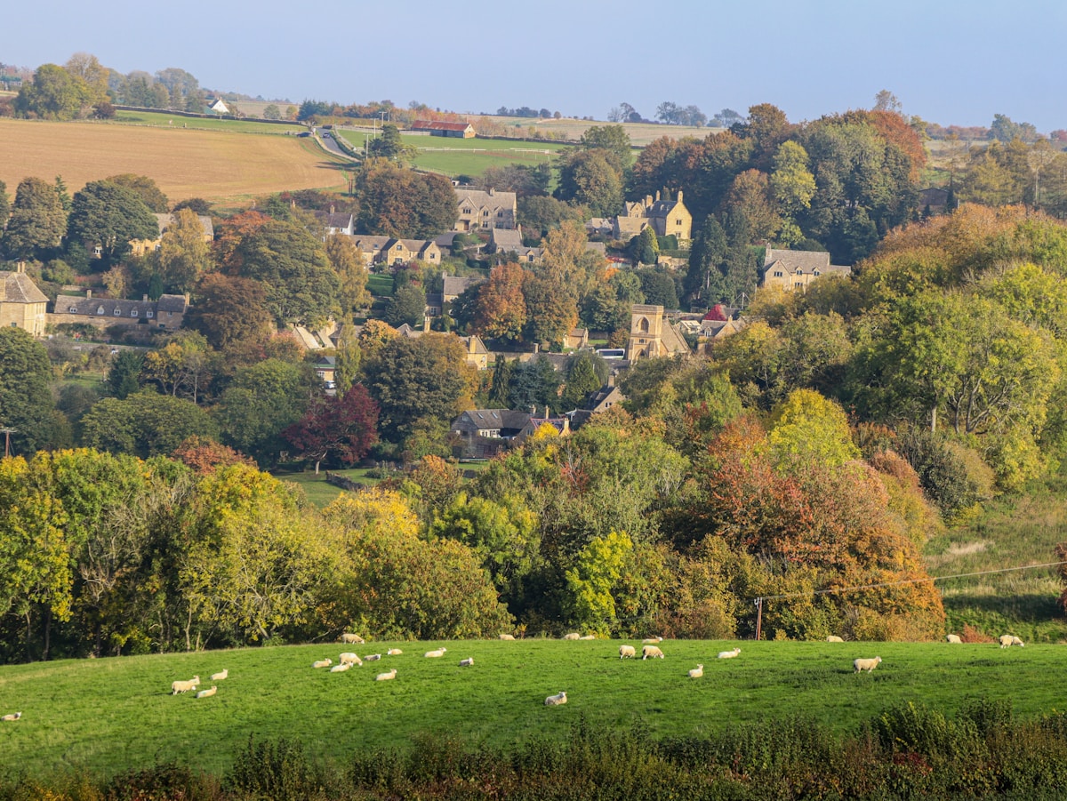 Sheep graze in a green field overlooking a village.