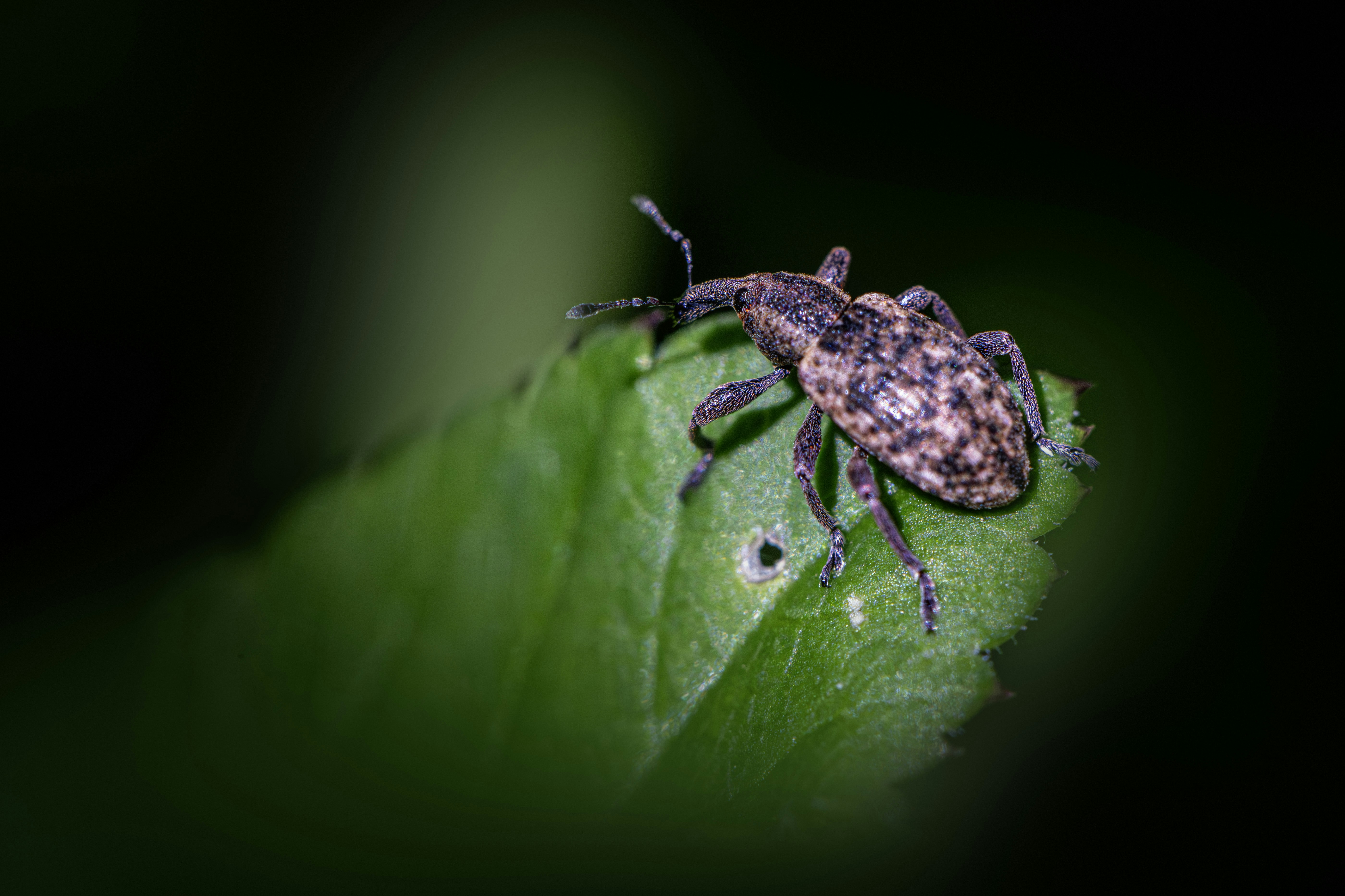 Photo by erik_karits